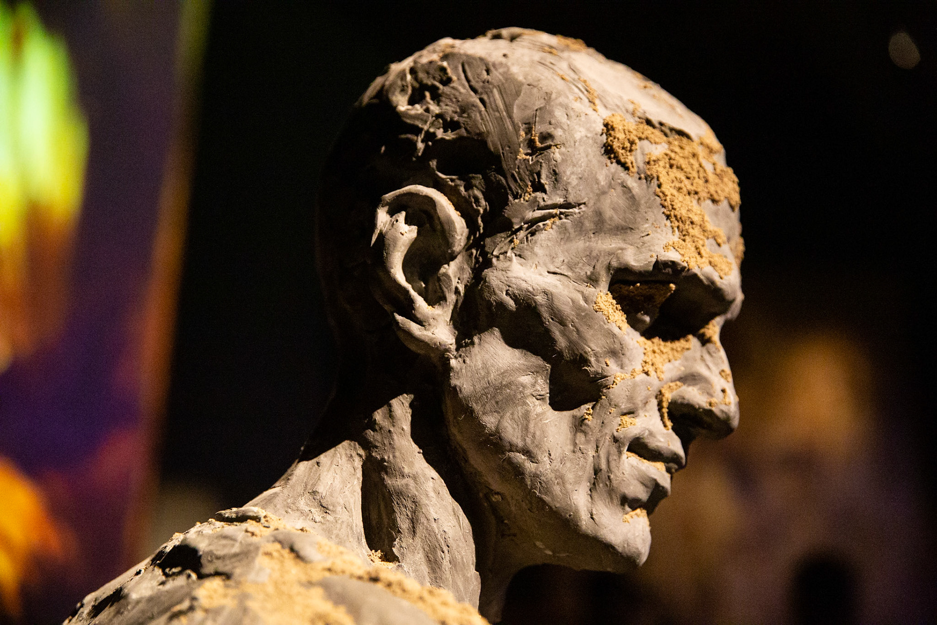 Russian Pavilion - Lc. 15: 11-32 , May 11 - November 24 curated by The State Hermitage Museum and the General Director Mikhail Piotrovsky - partecipants: ALEXANDER SOKUROV and ALEXANDER SHISHKIN-HOKUSAI