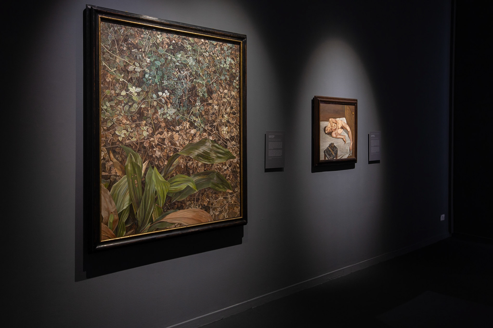 Bacon & Freud, Chiostro Bramante - photo: Giovanni De Angelis