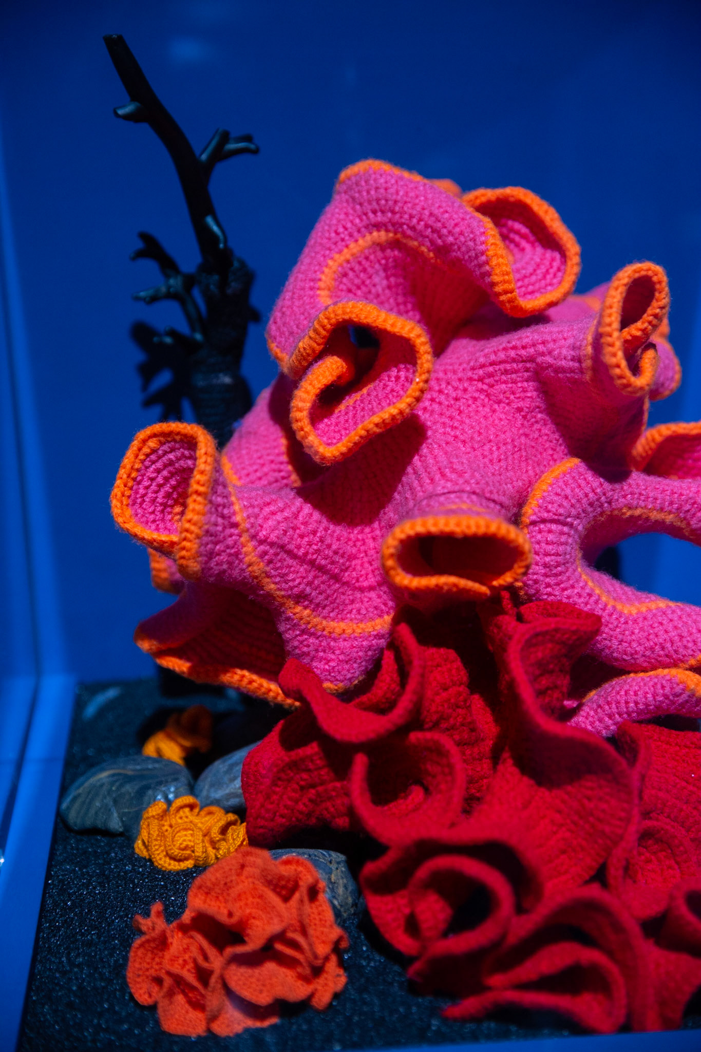 CHRISTINE AND MARGARET WERTHEIM THE HYPERBOLIC CROCHET CORAL REEF. THE FÖHR REEF