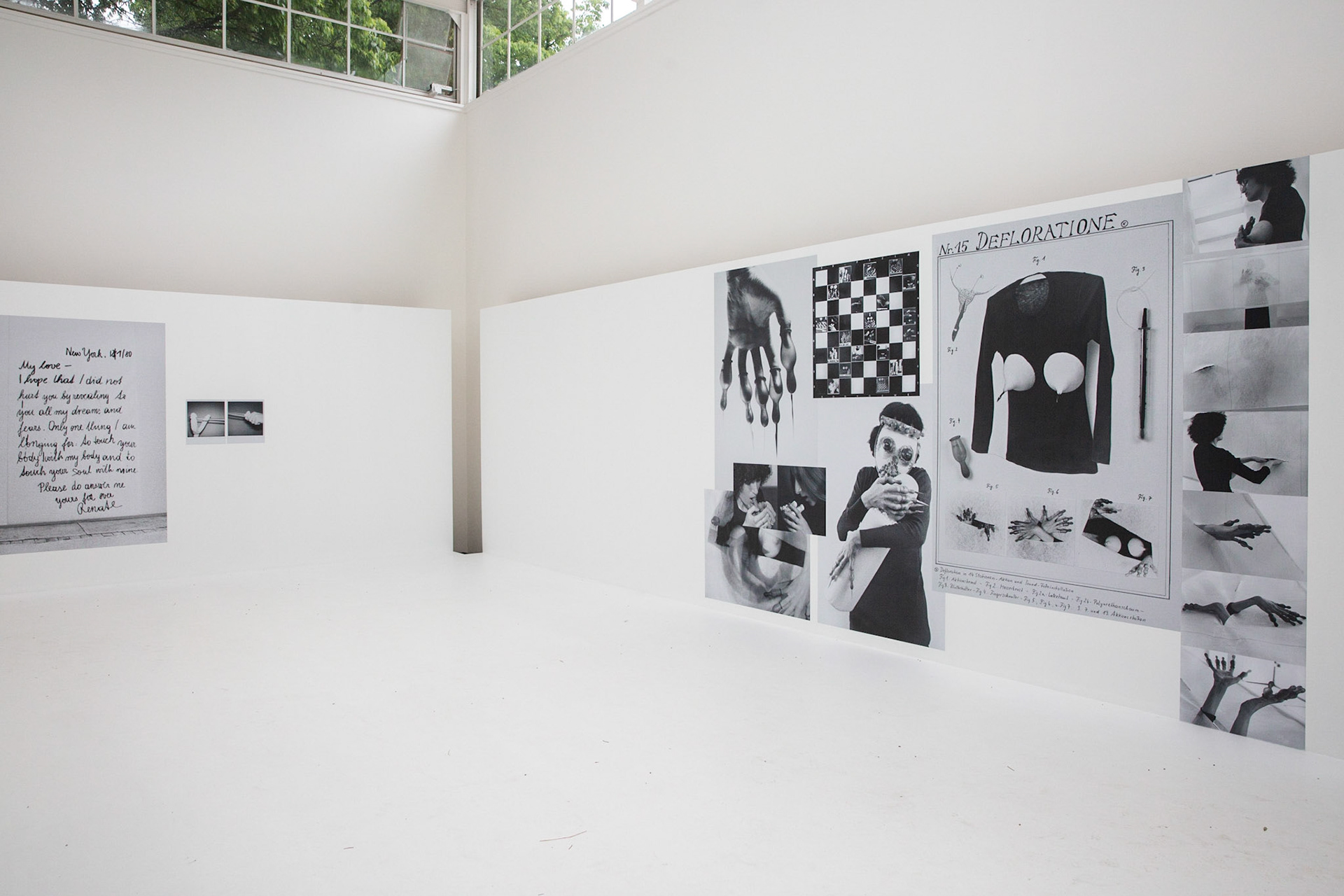 Austria Pavilion - Discordo Ergo Sum - Commissioner: Arts and Culture Division of the Federal Chancellery of Austria.Curator: Felicitas Thun-Hohenstein.Exhibitor: Renate Bertlmann - 58th International art exhibition - Venice