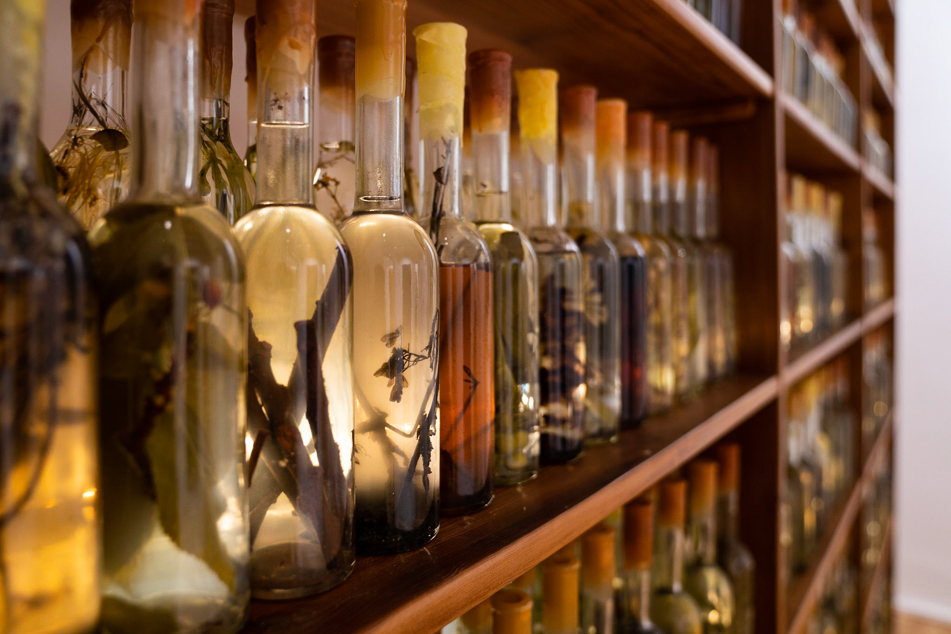 Opening Galleria Continua Roma - Hotel St. Regis