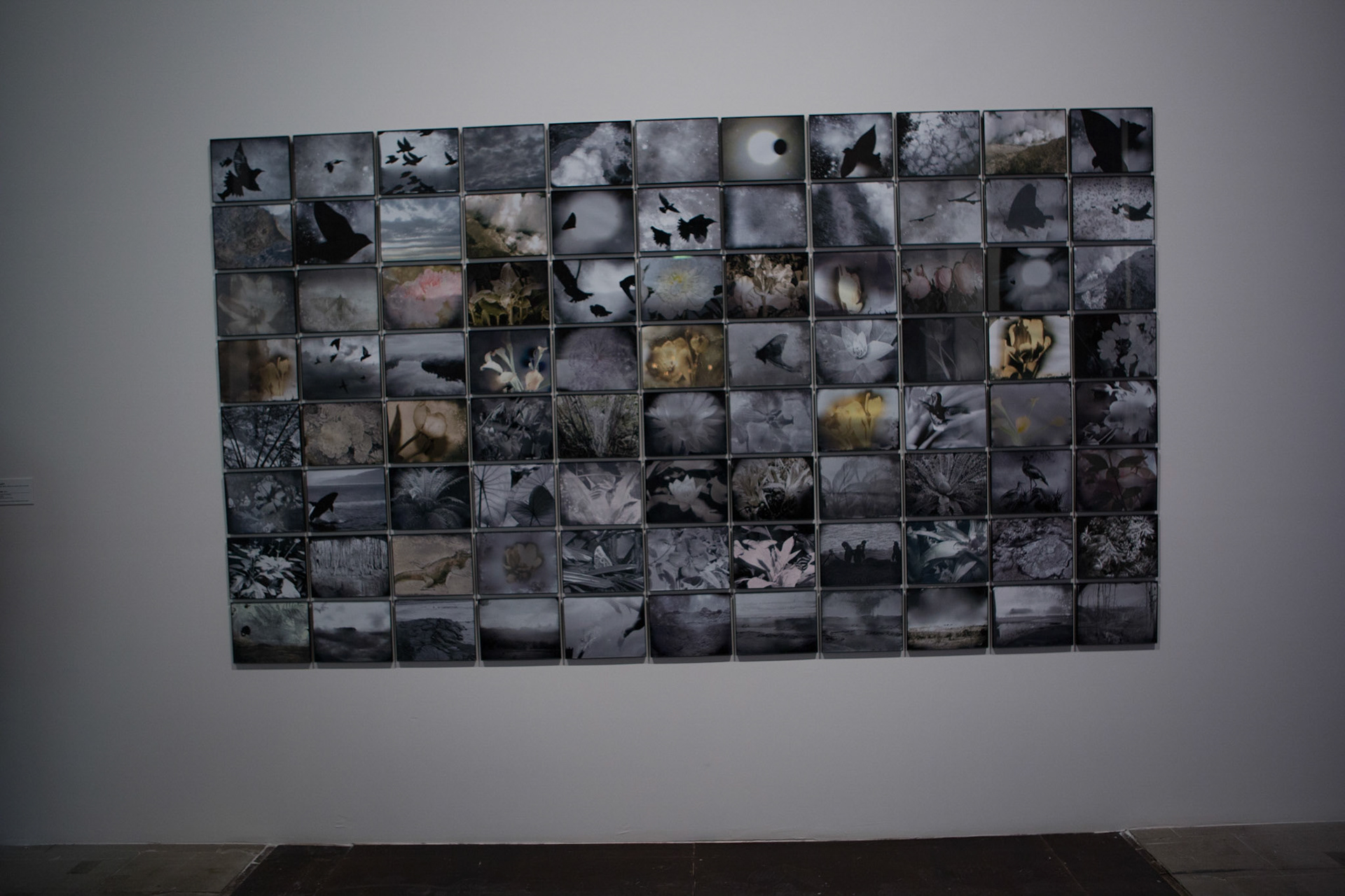 57A Biennale di Venezia 2017 - © Giovanni De Angelis