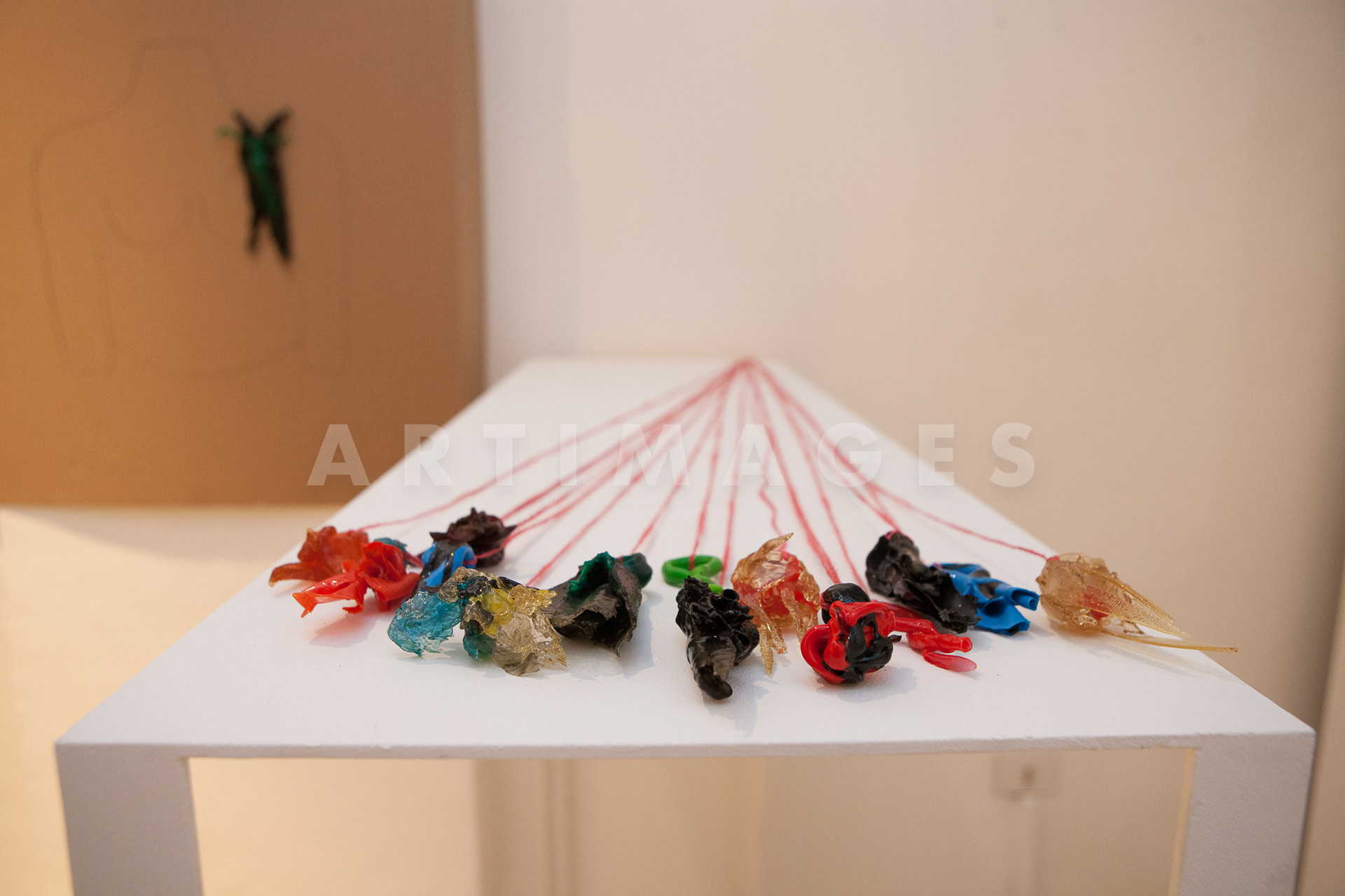 Mostra Gaetano Pesce presso Studio Stefania Miscetti - ©2013 Giovanni De Angelis