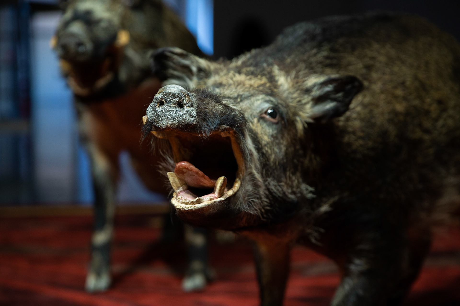 e world ia a fine place for you to fight for - Galleria Continua