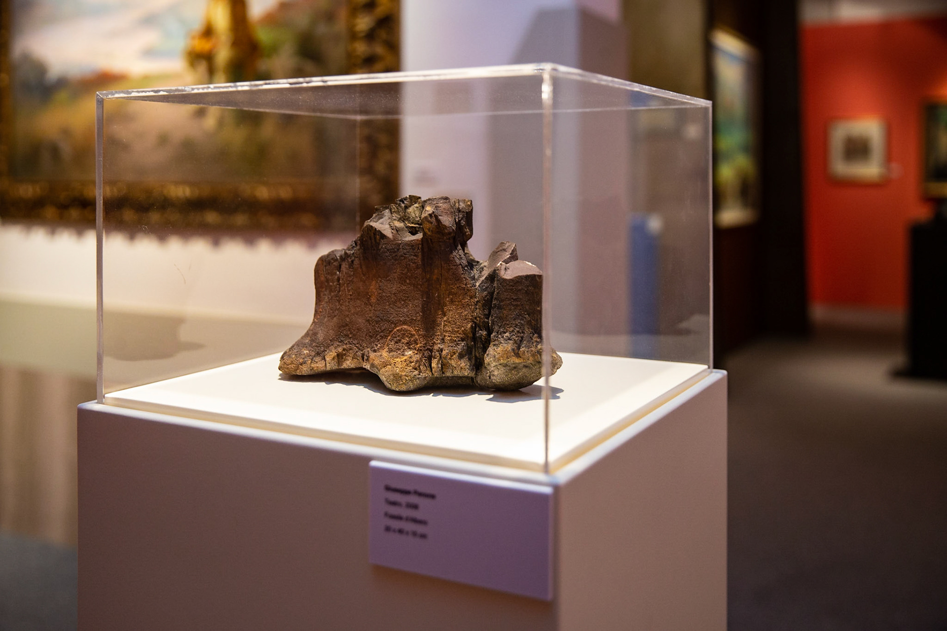 Mostra "La Potenza dell'Arte Contemporanea" - Pinacoteca - Potenza