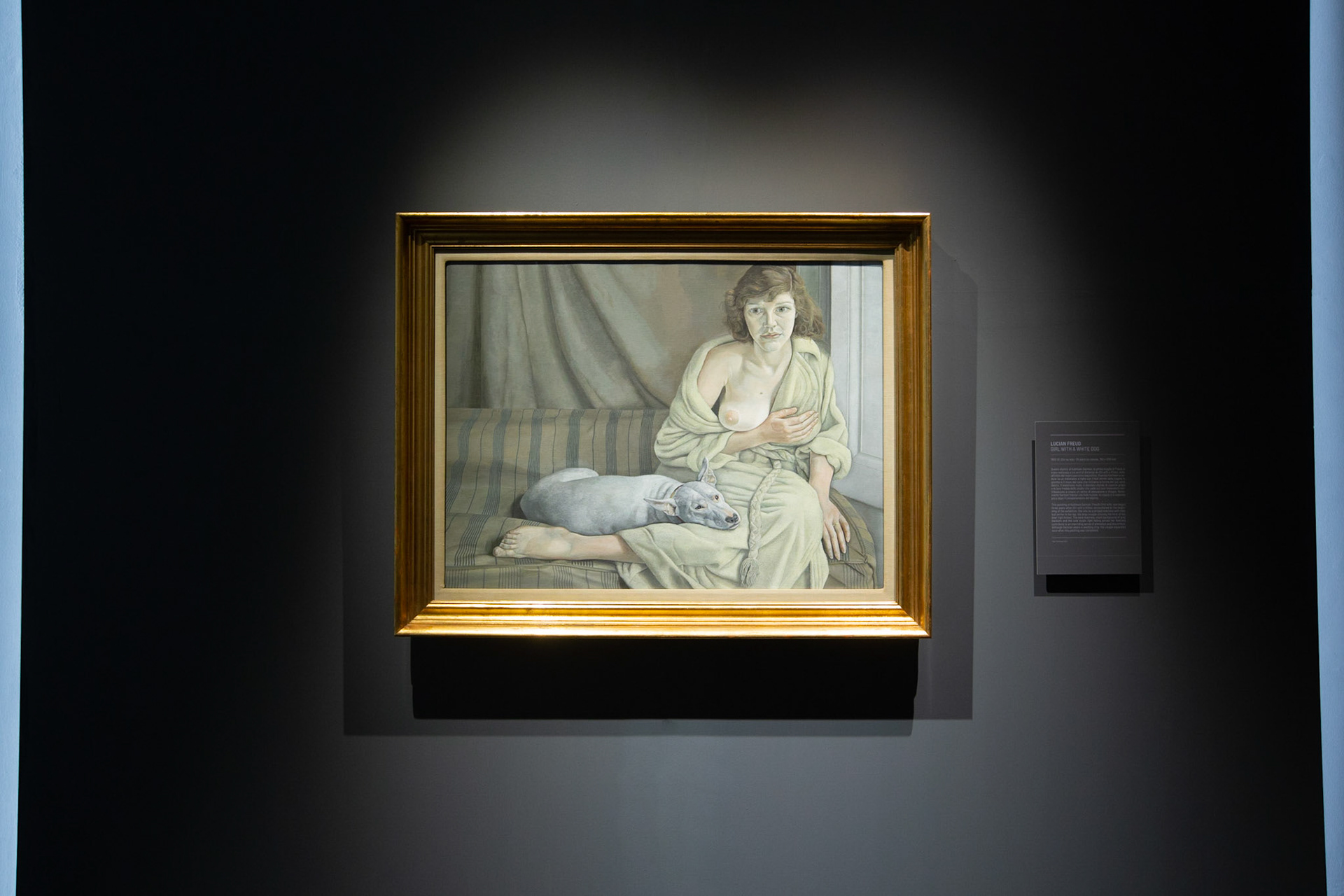 Bacon & Freud, Chiostro Bramante - photo: Giovanni De Angelis