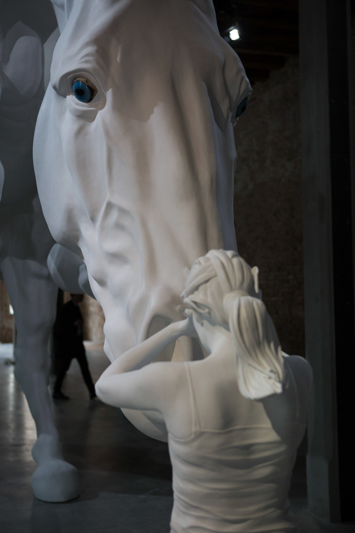 57A Biennale di Venezia 2017 - © Giovanni De Angelis