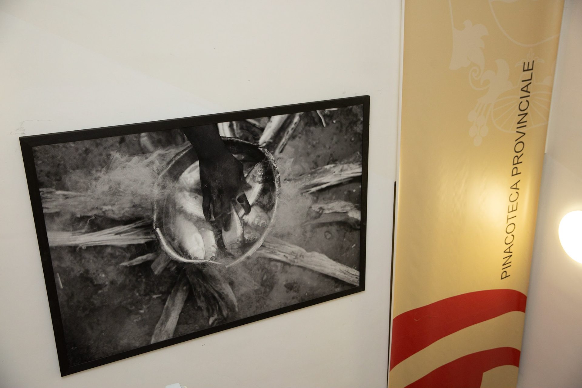 Mostra "La Potenza dell'Arte Contemporanea" - Pinacoteca - Potenza