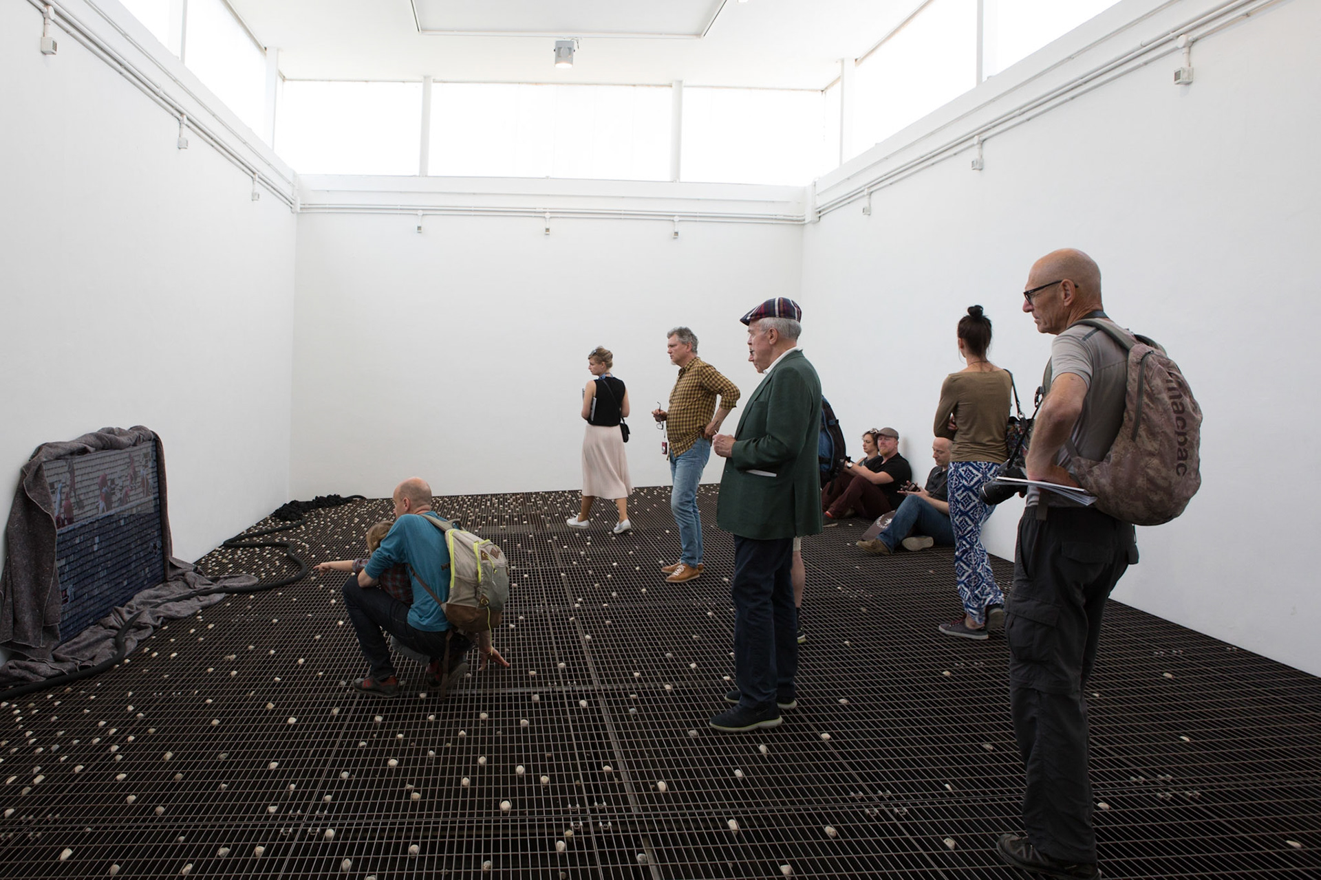 Padiglione Brasile- 57A Biennale di Venezia 2017 - © Giovanni De Angelis