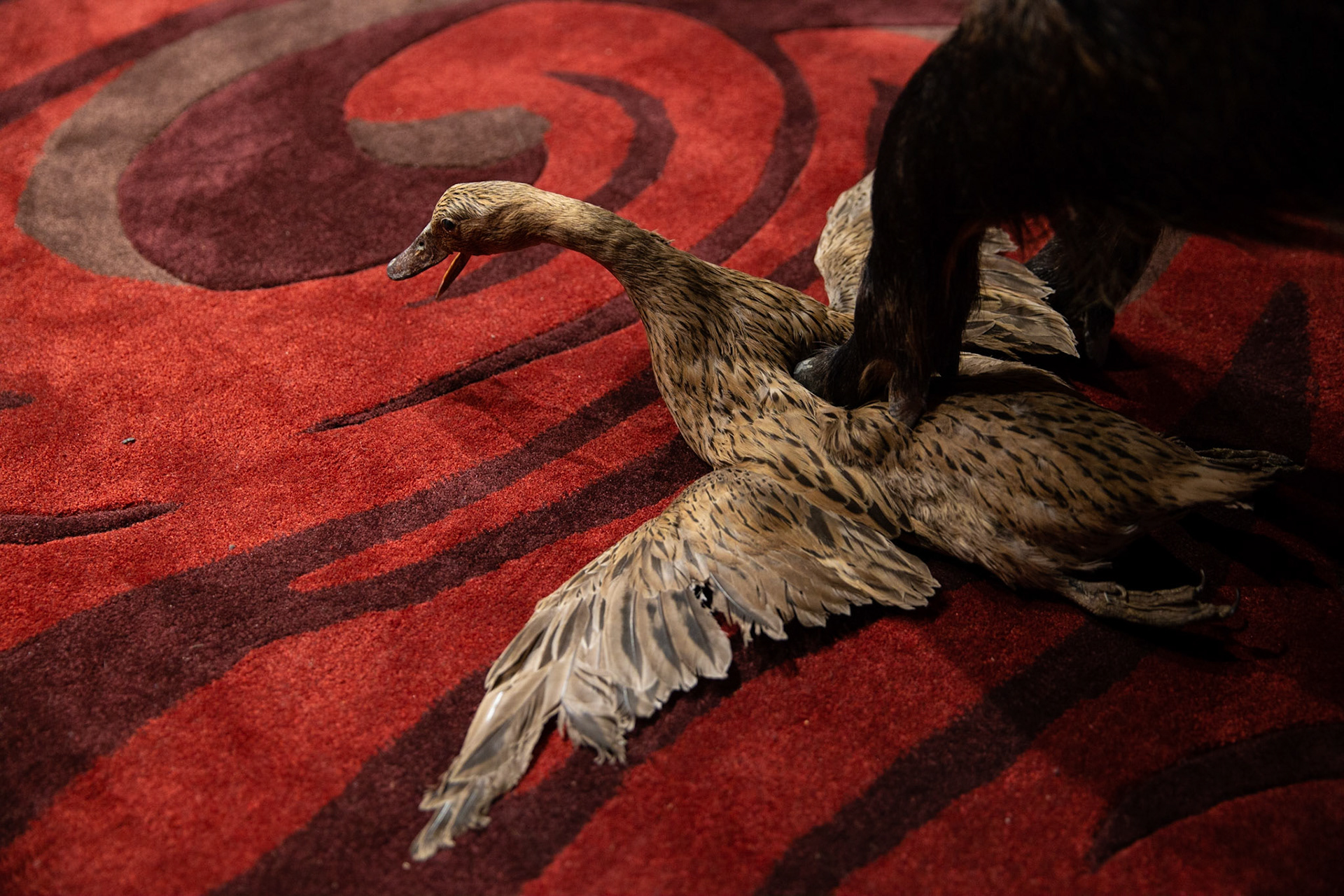 e world ia a fine place for you to fight for - Galleria Continua -  © Giovanni De Angelis