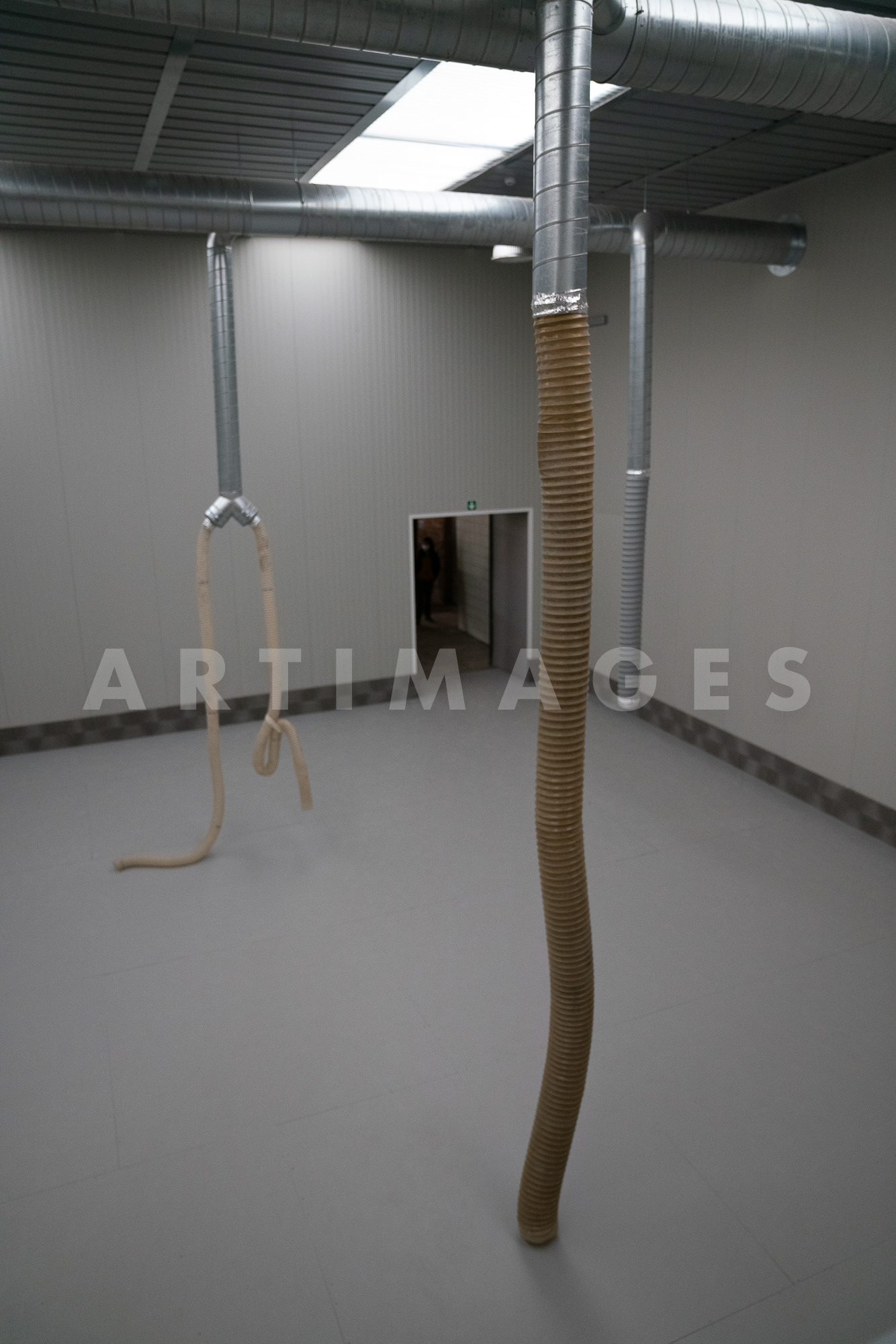 Gian Maria Tosatti, Storia della Notte e Destino delle Comete, Padiglione Italia, a cura di Eugenio Viola