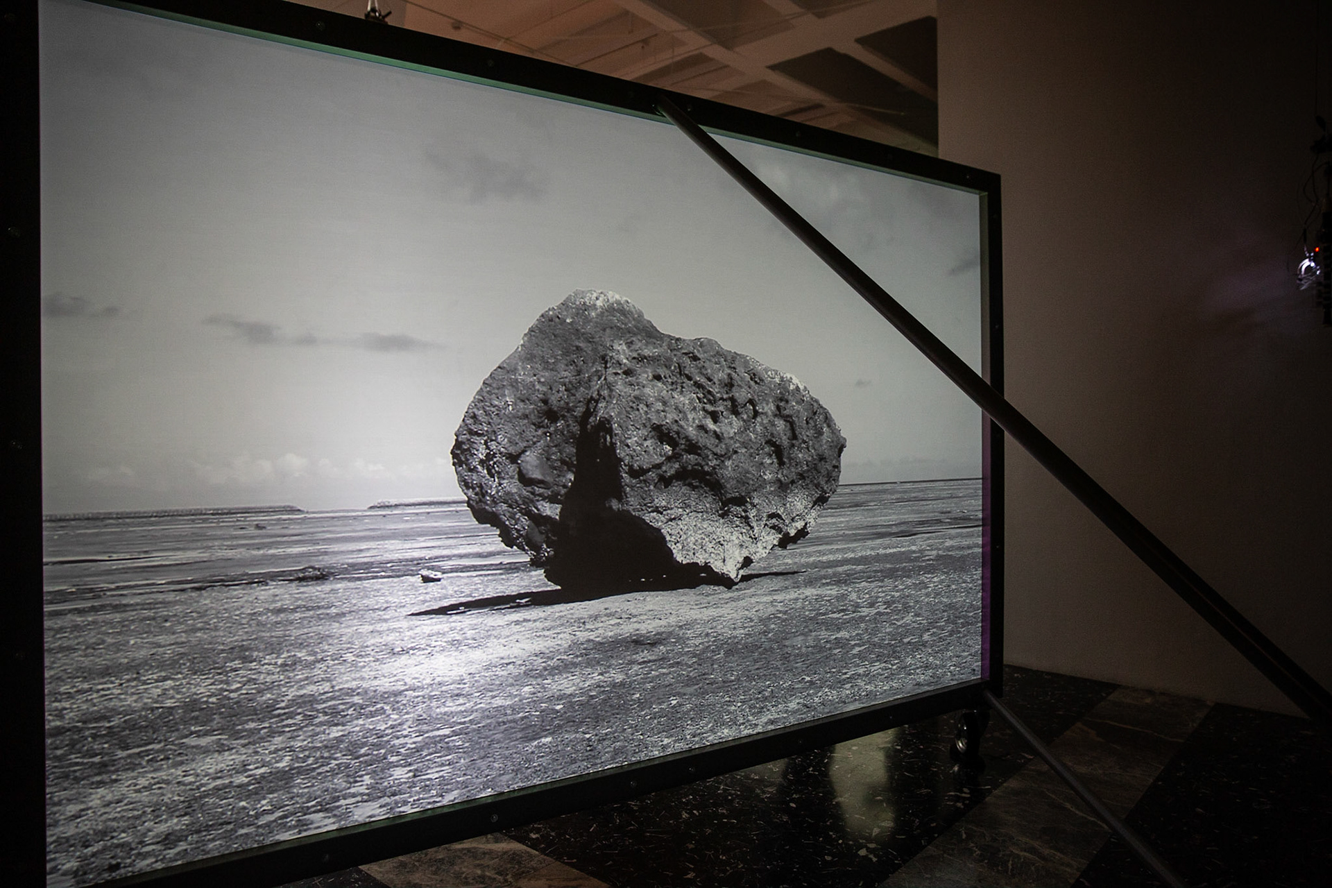 Japan Pavilion - Cosmo-Eggs - Commissioner: The Japan Foundation. Curator: Hiroyuki Hattori. Exhibitors: Motoyuki Shitamichi, Taro Yasuno, Toshiaki Ishikura, Fuminori Nousaku.