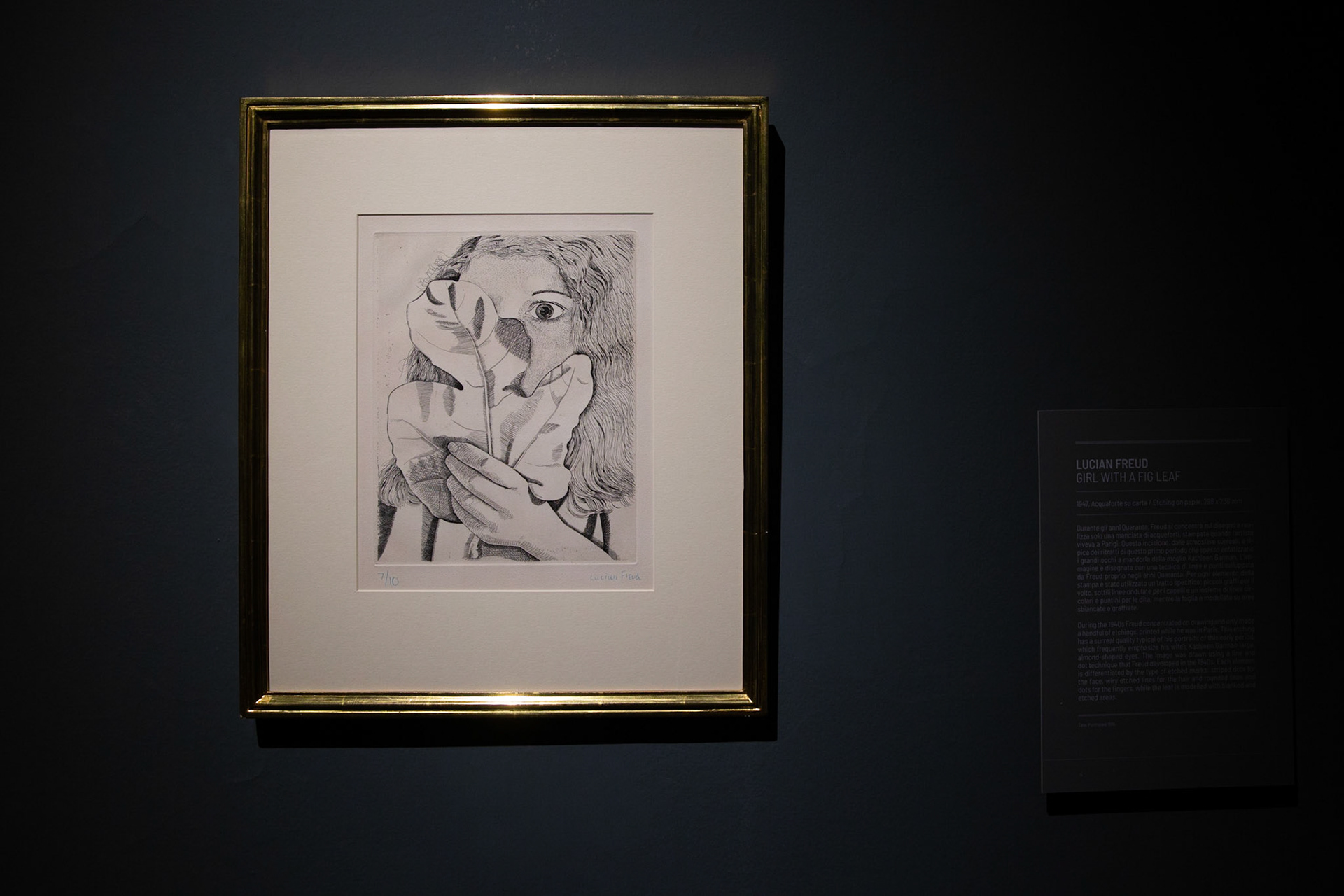 Bacon & Freud, Chiostro Bramante - photo: Giovanni De Angelis