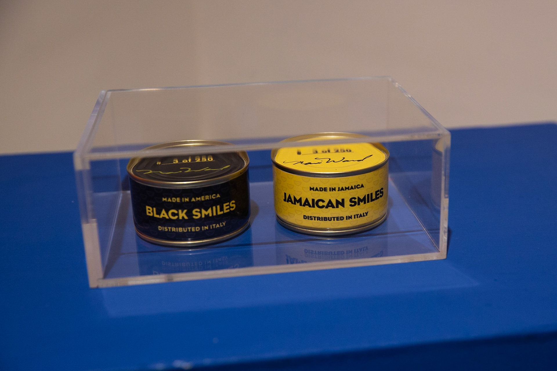 Mostra "La Potenza dell'Arte Contemporanea" - Pinacoteca - Potenza