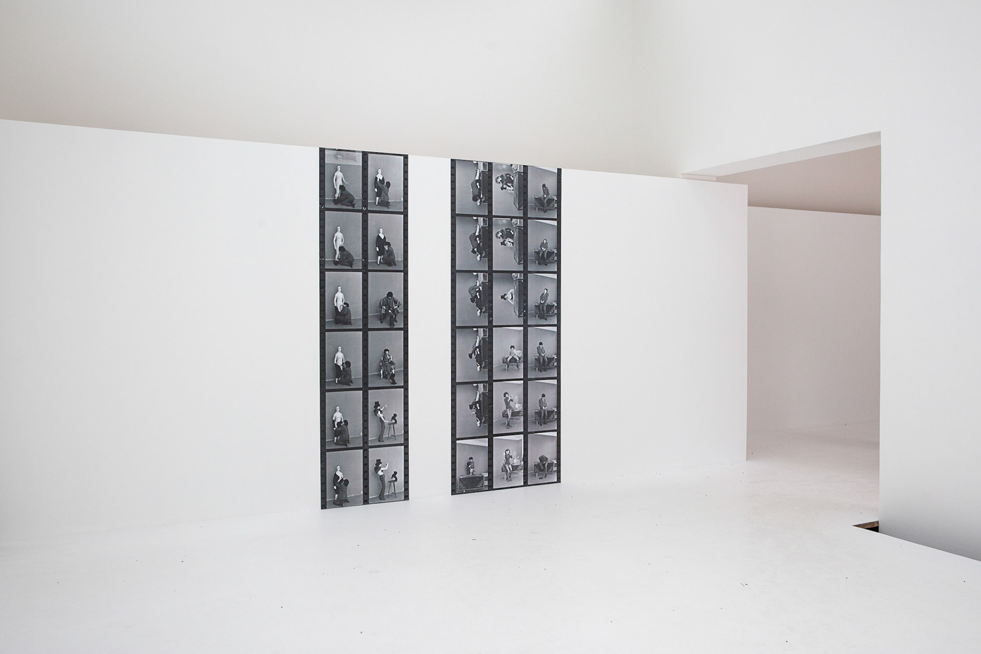 Austria Pavilion - Discordo Ergo Sum - Commissioner: Arts and Culture Division of the Federal Chancellery of Austria.Curator: Felicitas Thun-Hohenstein.Exhibitor: Renate Bertlmann - 58th International art exhibition - Venice