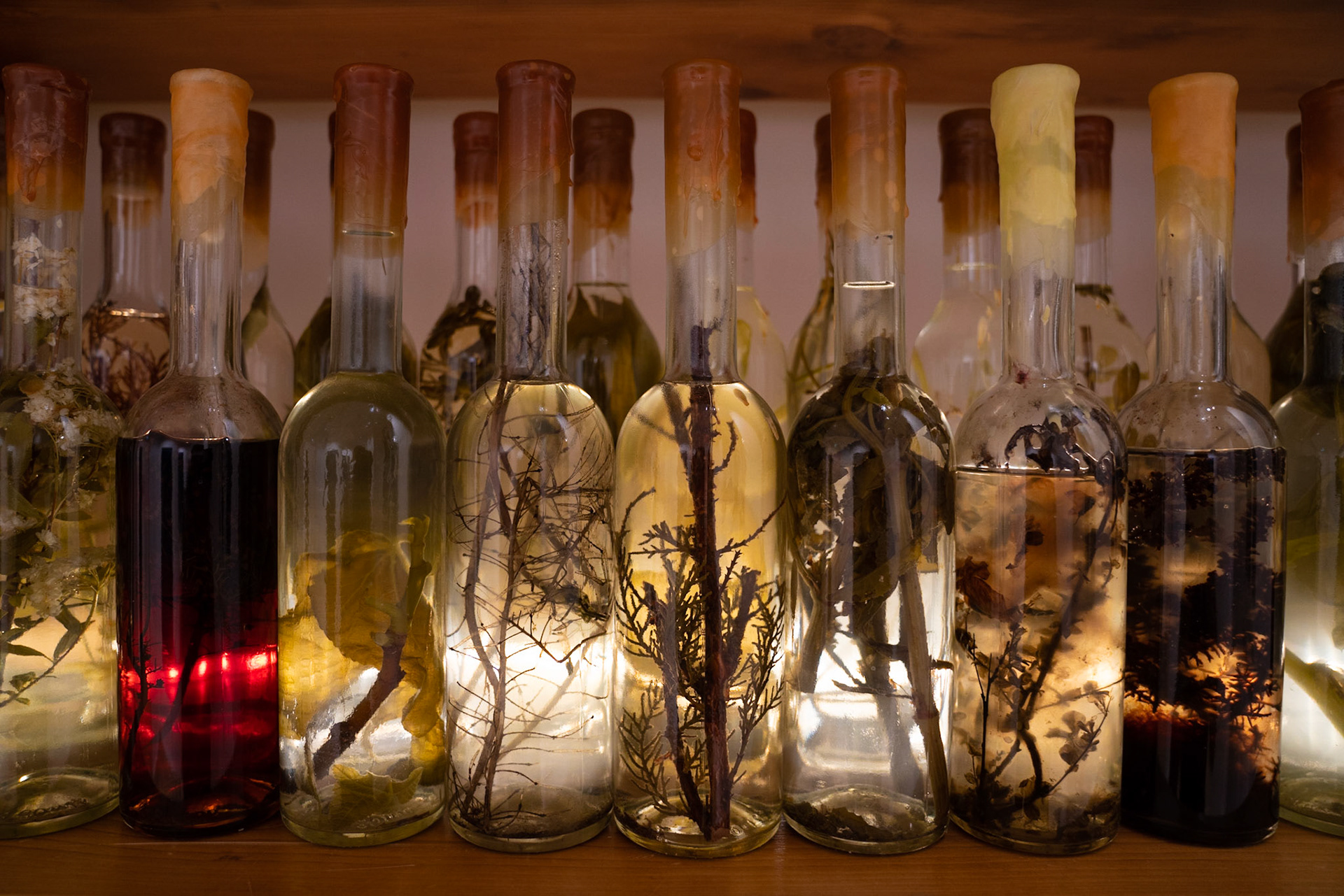 Opening Galleria Continua Roma - Hotel St. Regis