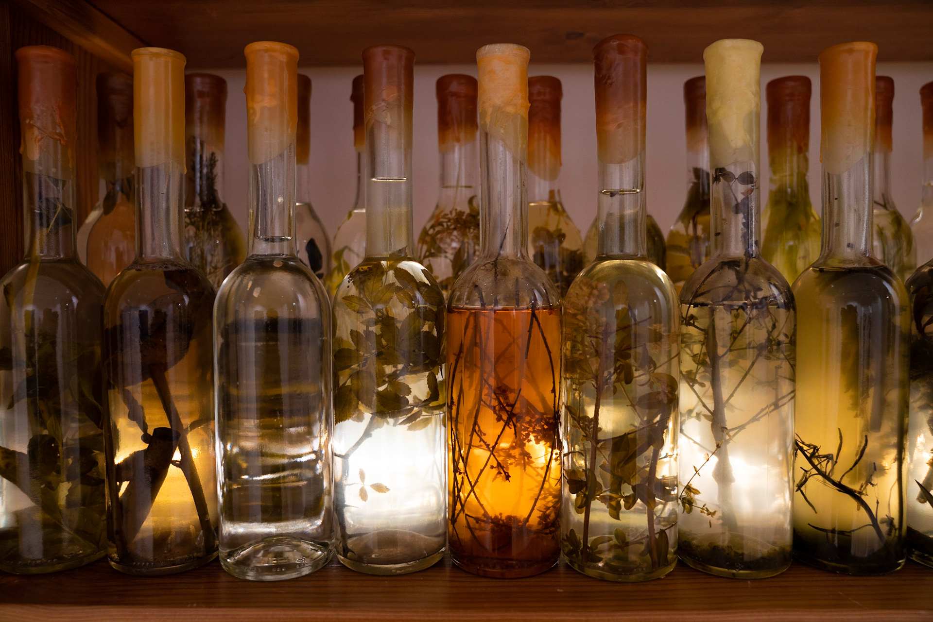 Opening Galleria Continua Roma - Hotel St. Regis