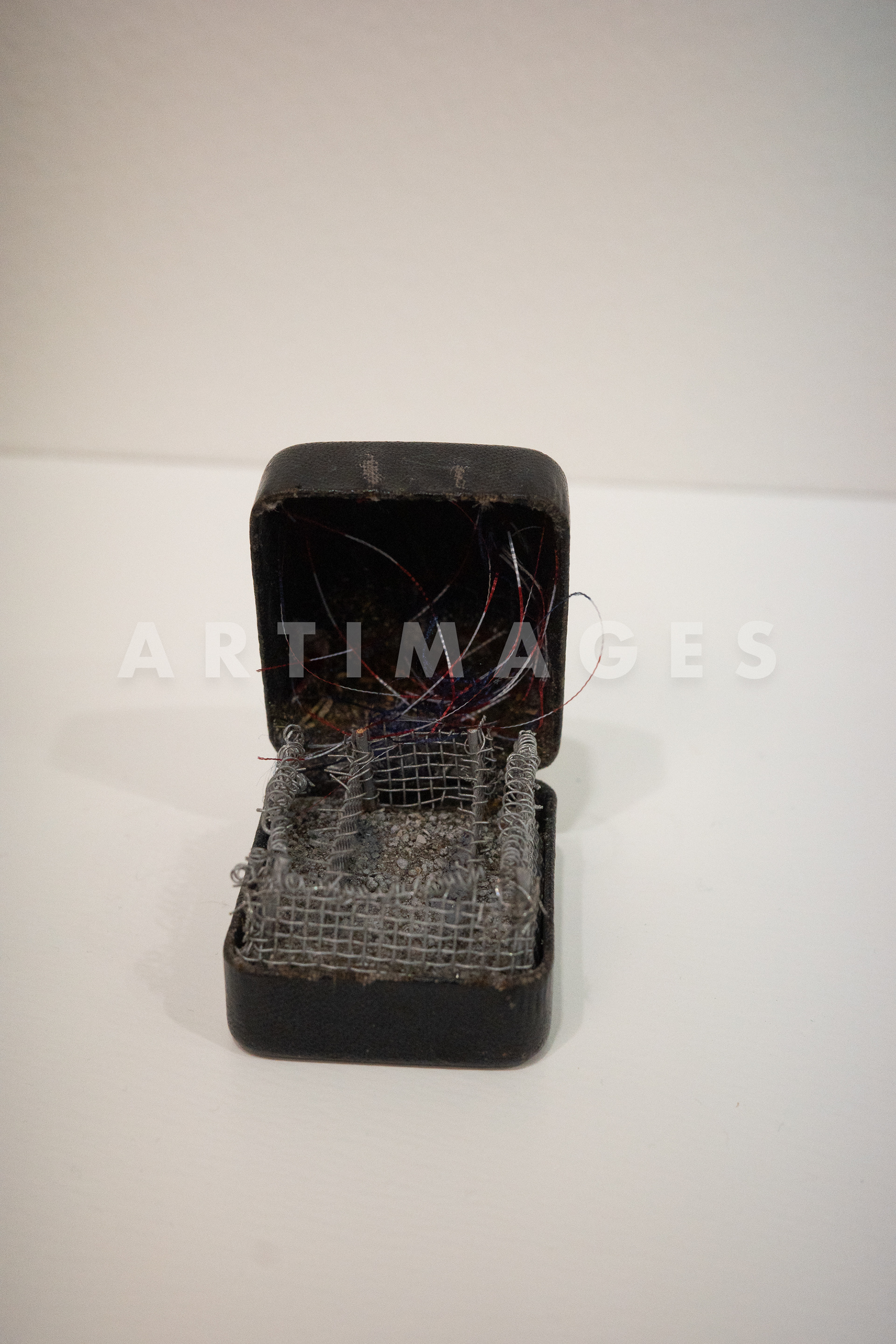 Nir Altman Gallery : Curtis Talwst Santiago