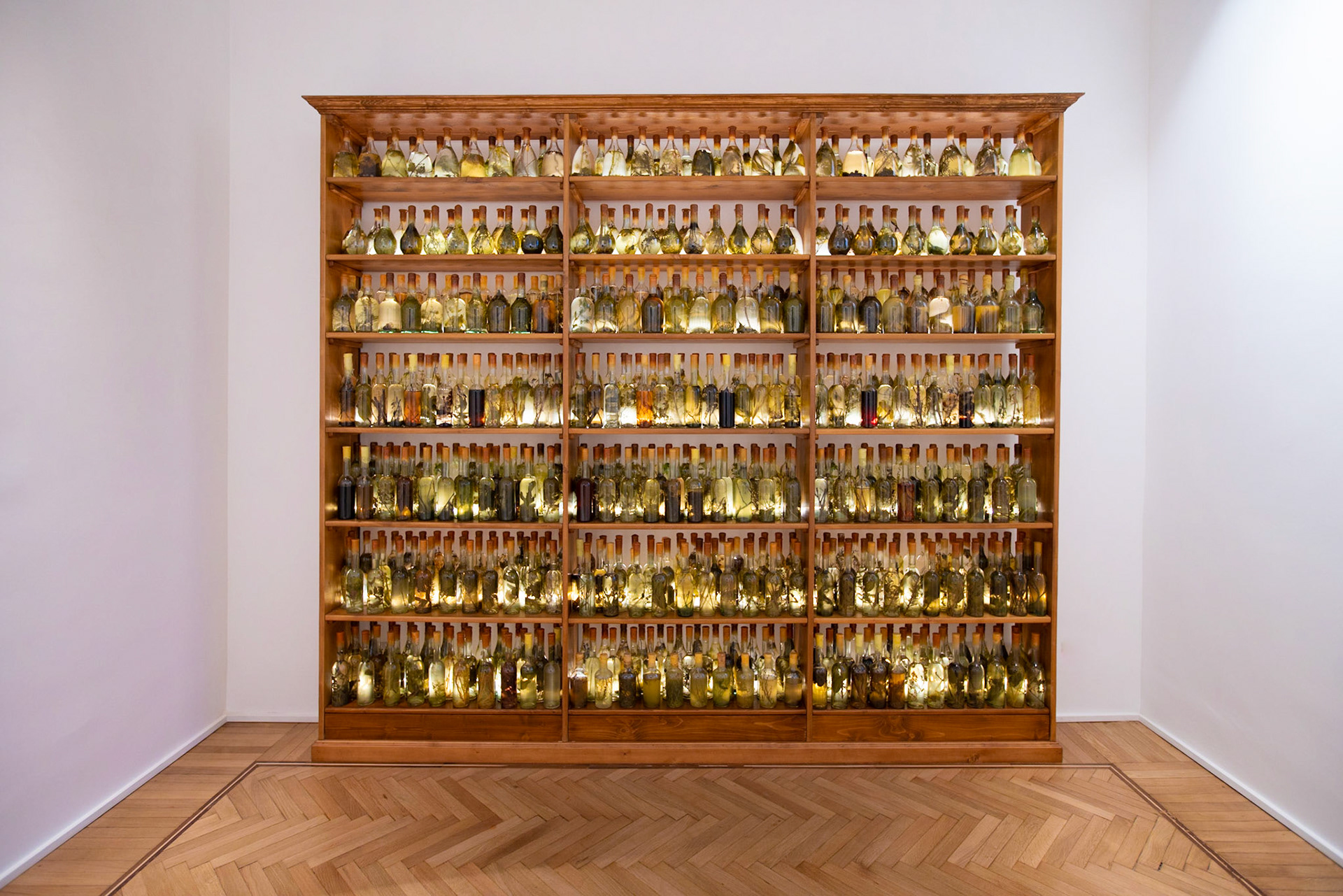 Opening Galleria Continua Roma - Hotel St. Regis