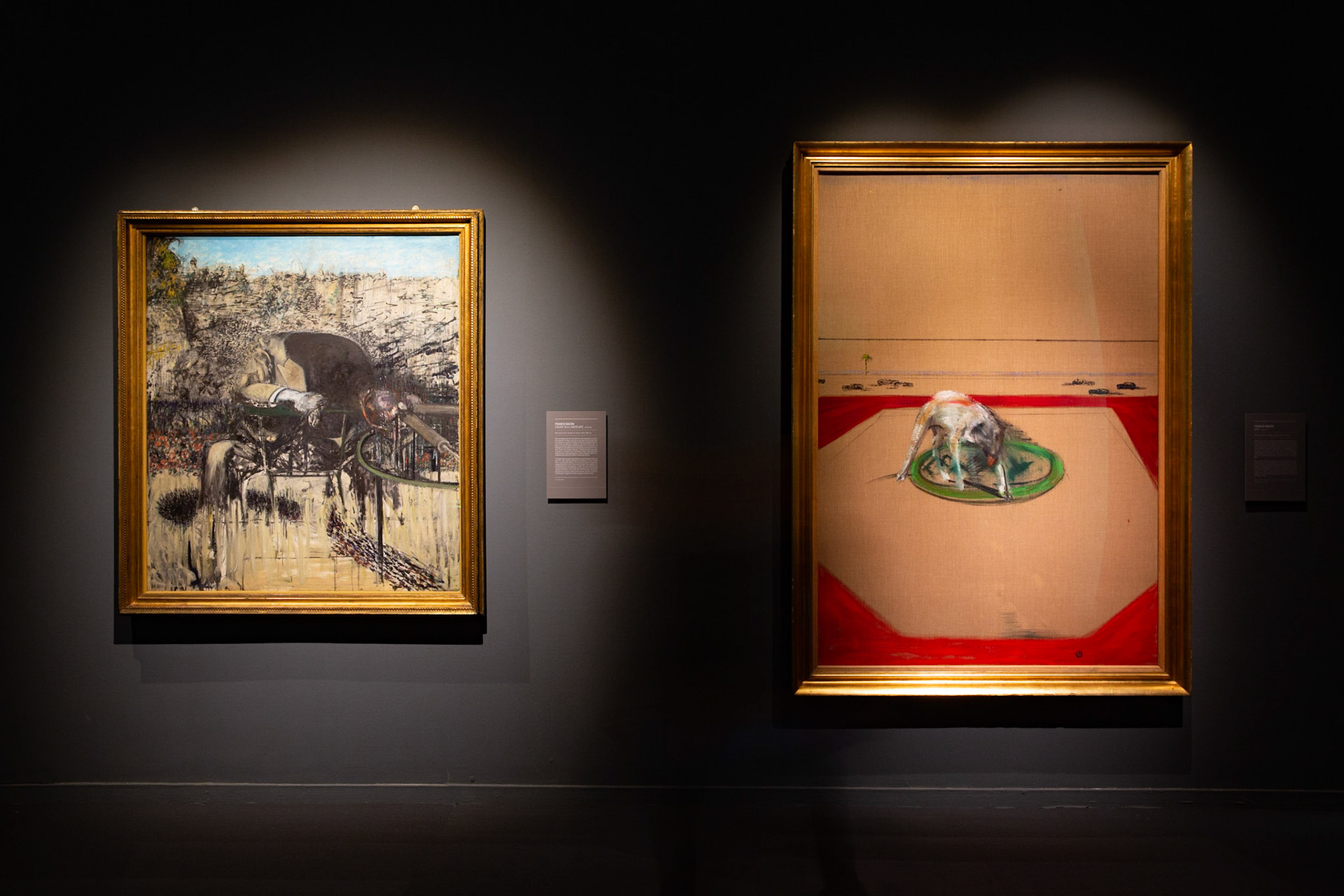 Bacon & Freud, Chiostro Bramante - photo: Giovanni De Angelis