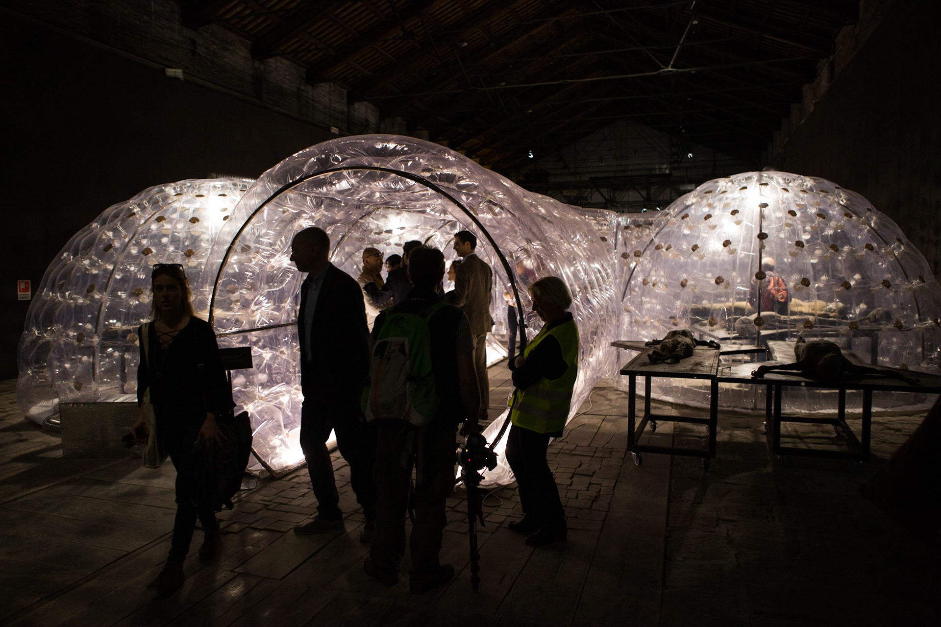 57A Biennale di Venezia 2017 - © Giovanni De Angelis