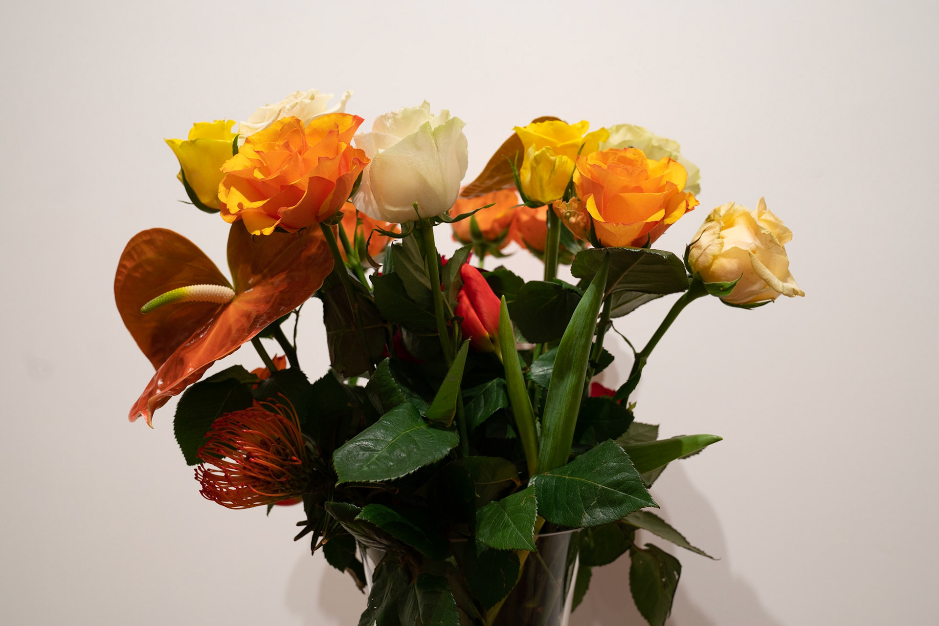 Opening Galleria Continua Roma - Hotel St. Regis