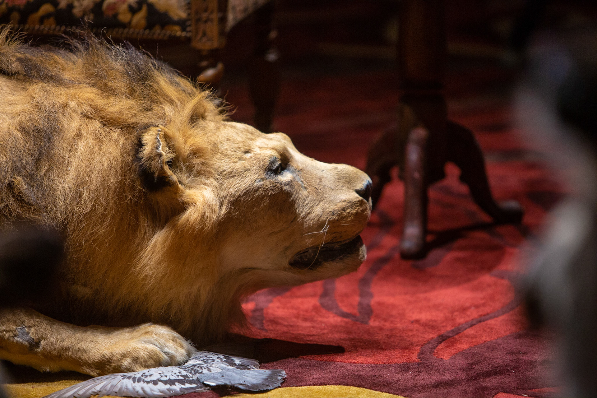 e world ia a fine place for you to fight for - Galleria Continua