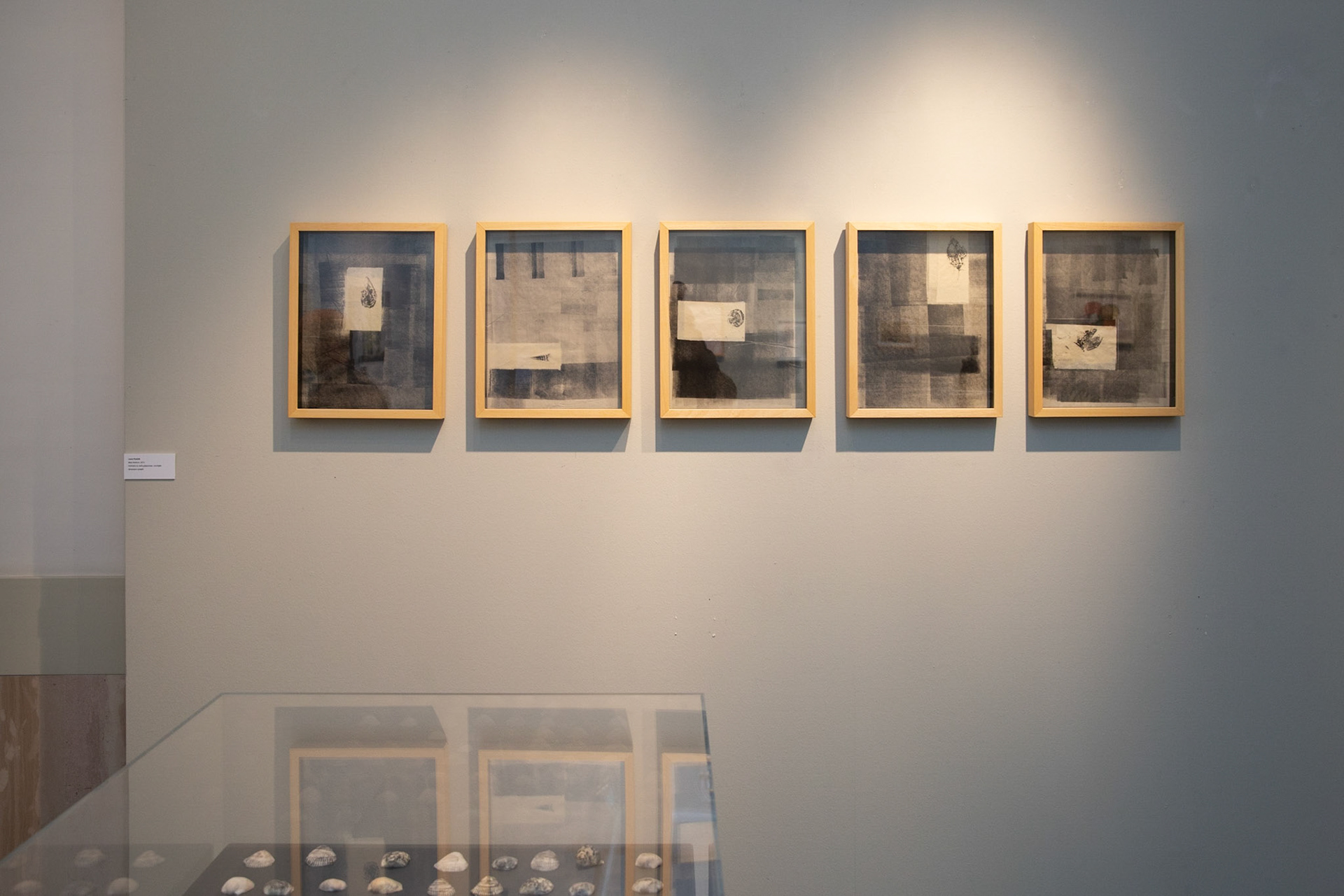 Mostra "La Potenza dell'Arte Contemporanea" - Pinacoteca - Potenza