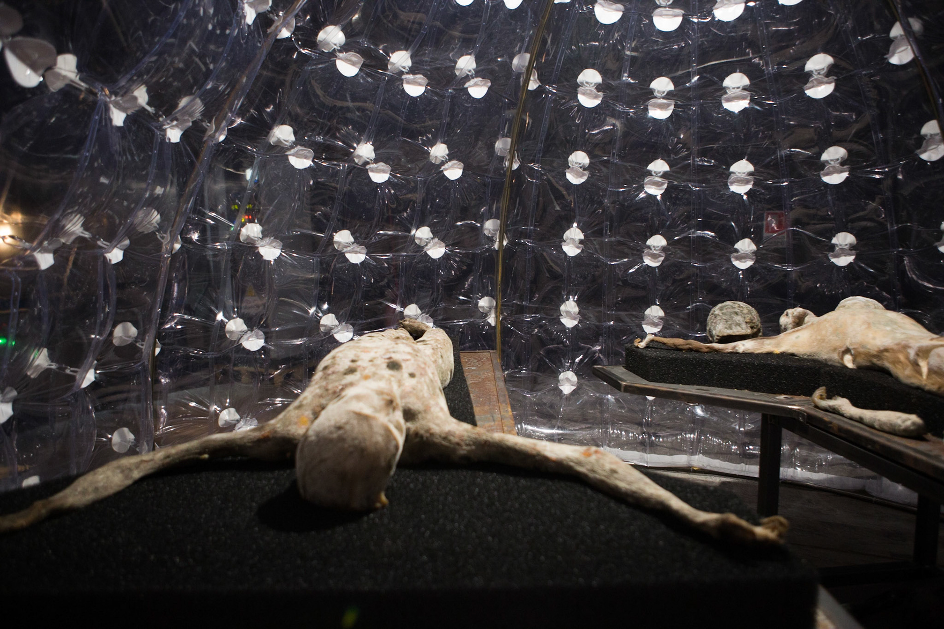 57A Biennale di Venezia 2017 - © Giovanni De Angelis