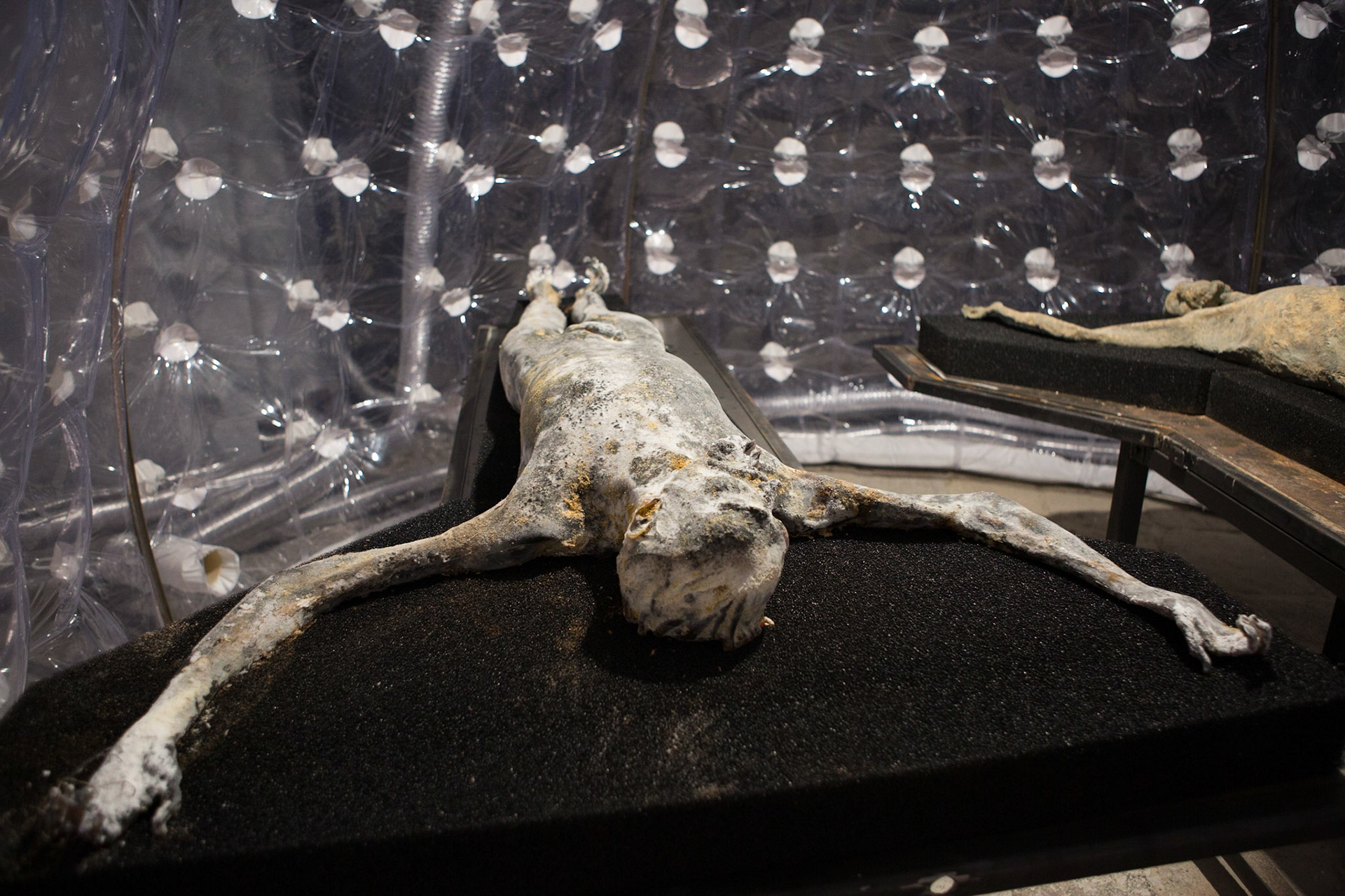 57A Biennale di Venezia 2017 - © Giovanni De Angelis