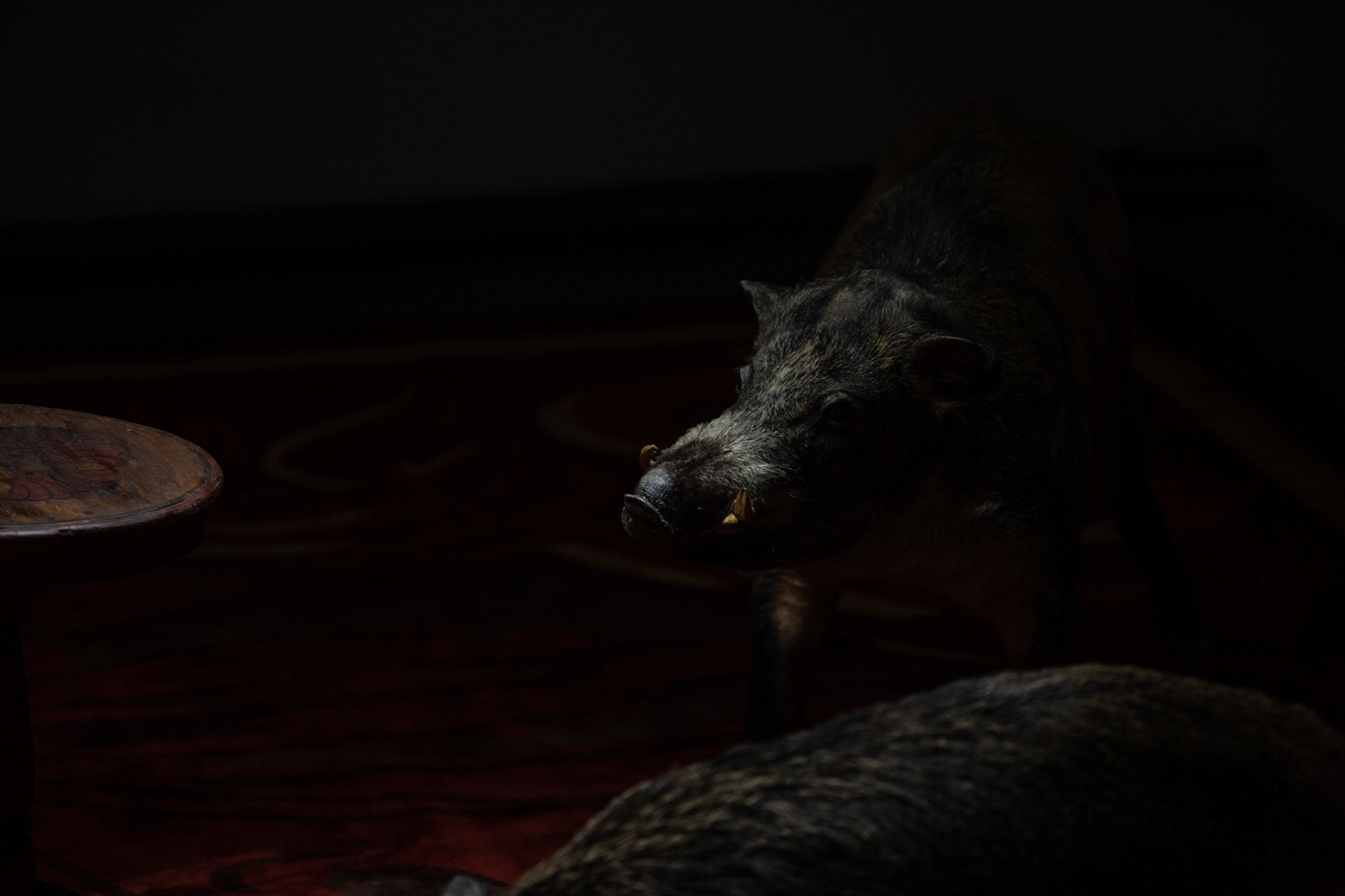 e world ia a fine place for you to fight for - Galleria Continua