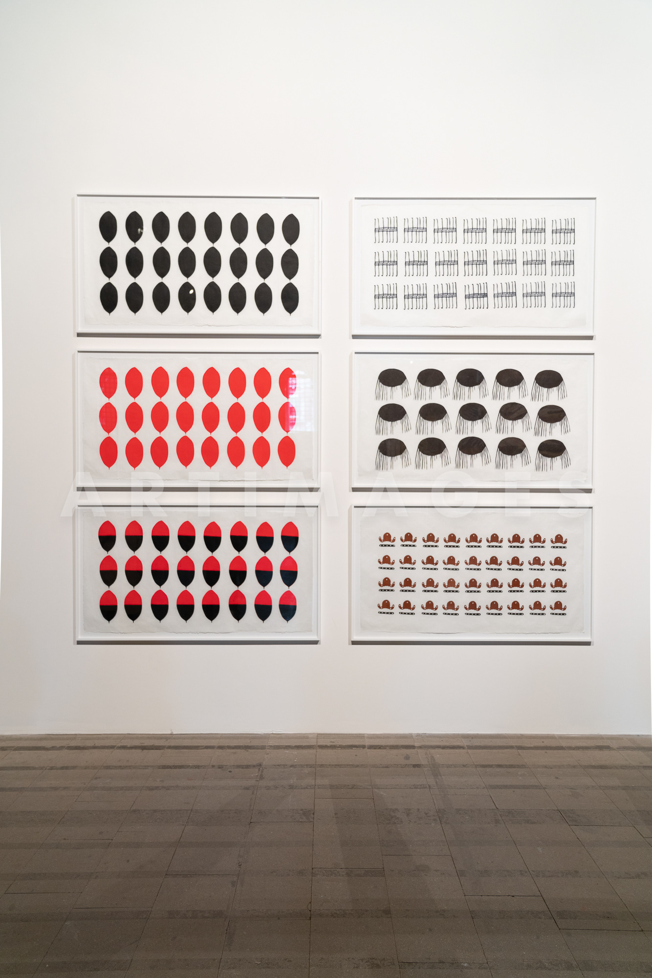 sheroanawe hakihiiwe