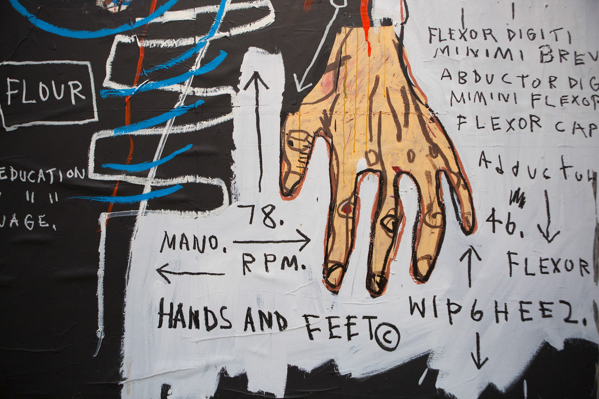 Mostra Basquiat, Chiostro del Bramante, © Giovanni De Angelis 2017