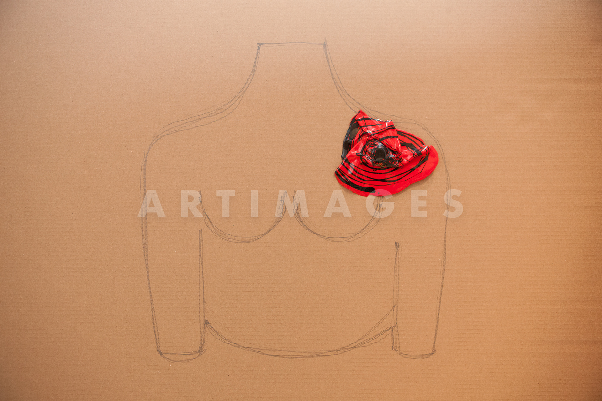 Mostra Gaetano Pesce presso Studio Stefania Miscetti - ©2013 Giovanni De Angelis