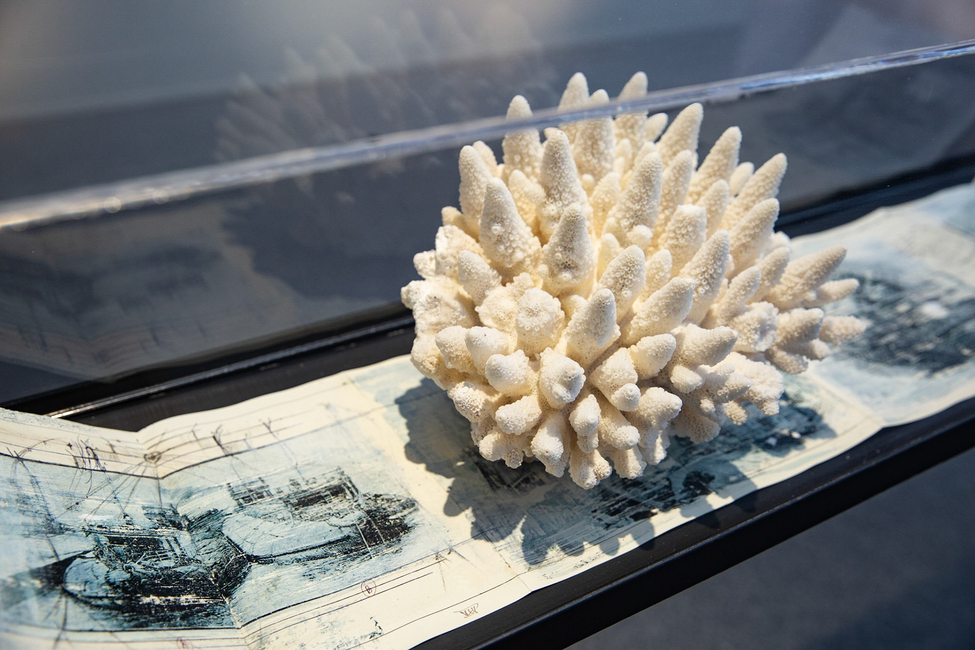 Mostra "La Potenza dell'Arte Contemporanea" - Pinacoteca - Potenza