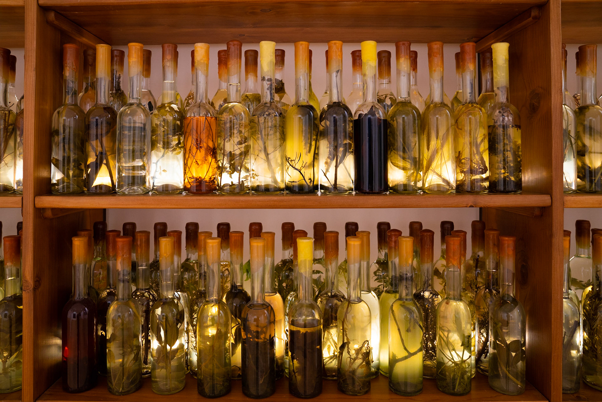 Opening Galleria Continua Roma - Hotel St. Regis