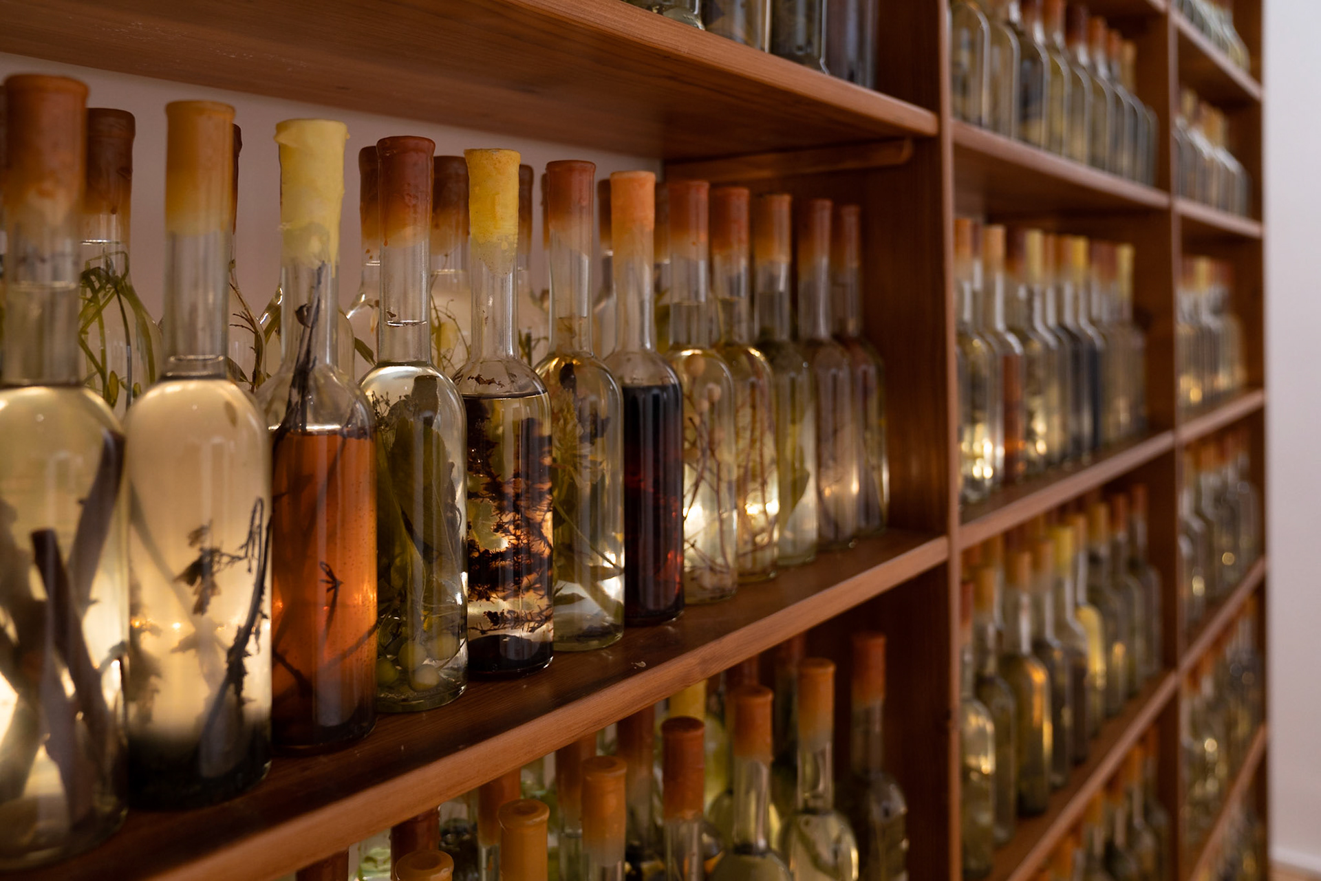 Opening Galleria Continua Roma - Hotel St. Regis