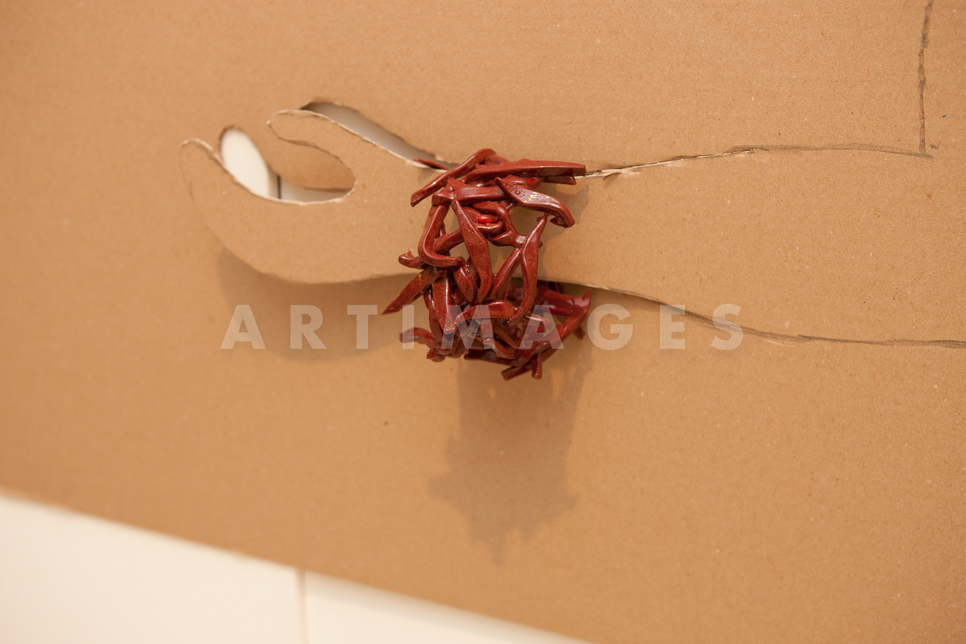 Mostra Gaetano Pesce presso Studio Stefania Miscetti - ©2013 Giovanni De Angelis