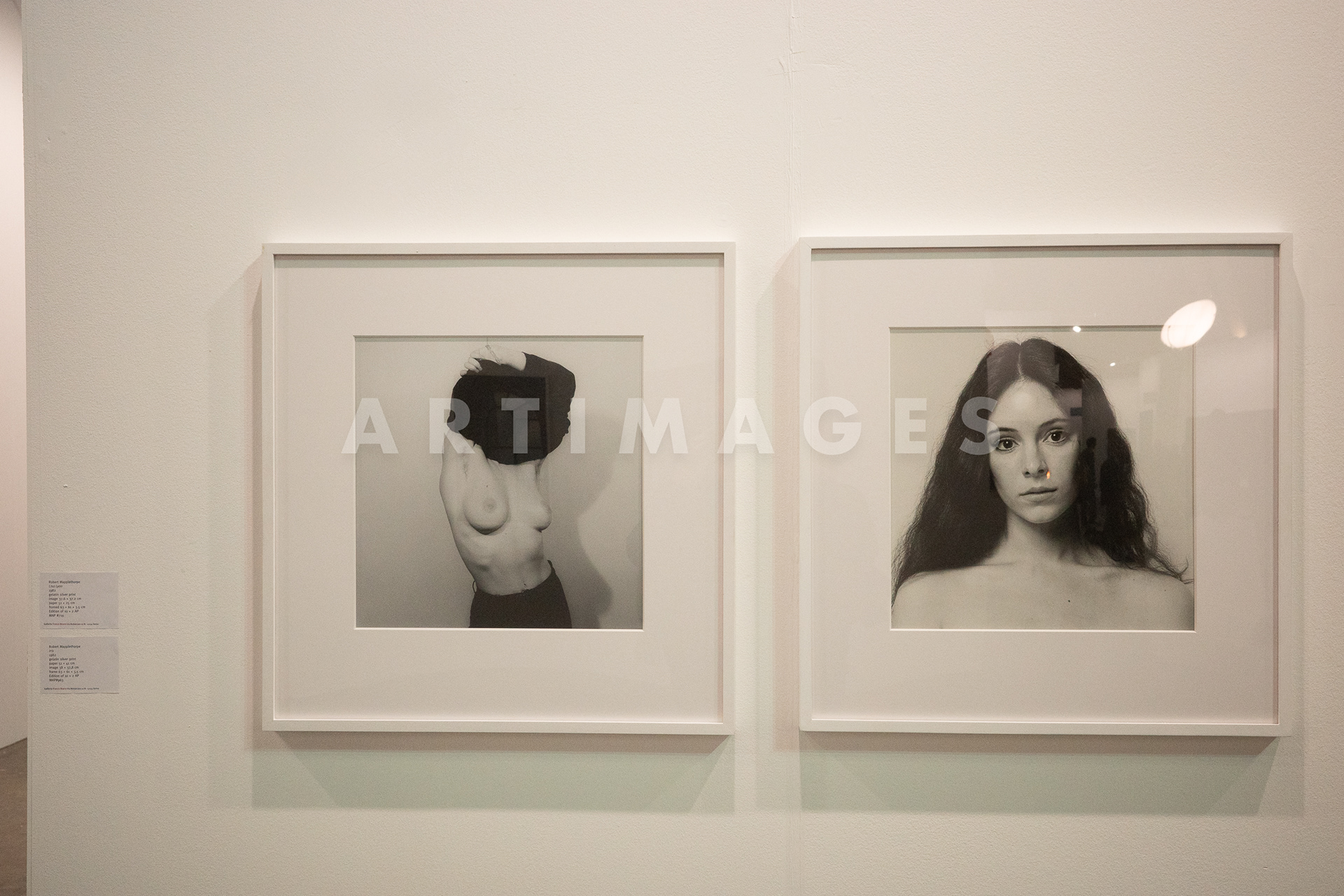 Robert Mappletorphe - Lisa Lyon and Iris