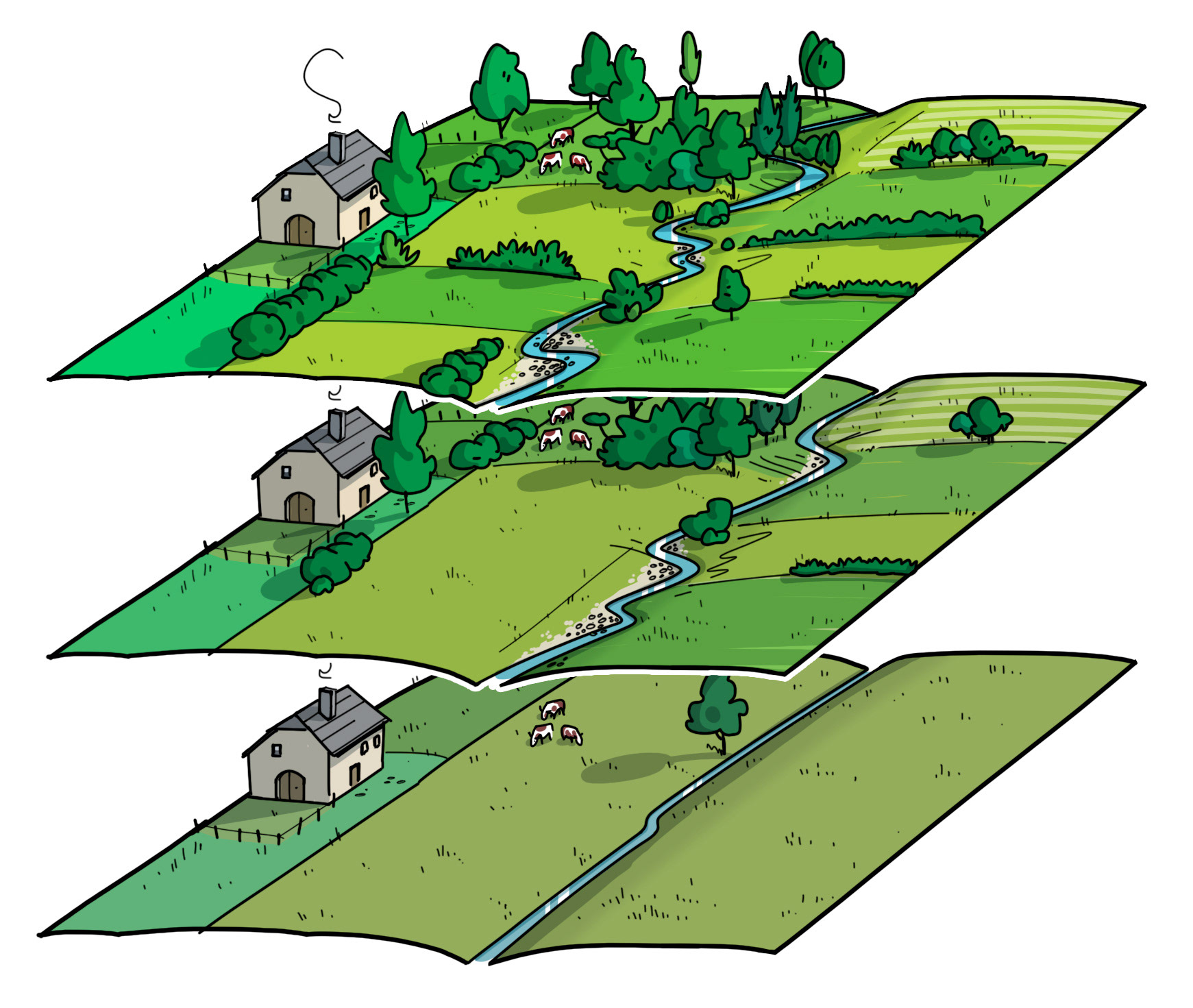 États écologiques en plaine