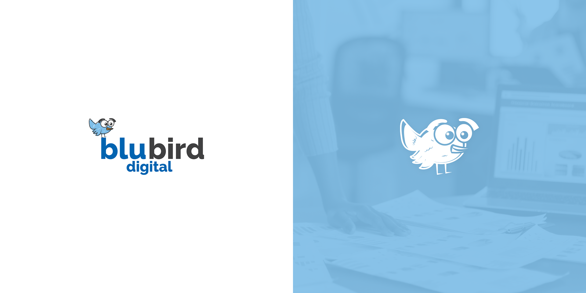 BluBird Digital: Friendly modern marketing company
