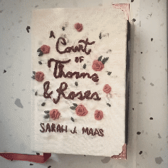 Book rebound with chipboard and embroidered muslin cloth