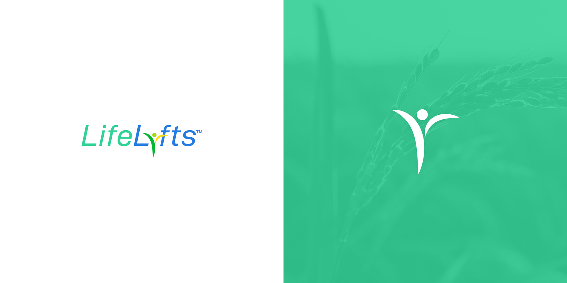 LifeLyfts: A brand that specializes in vehicle lifts for mobility-impaired individuals