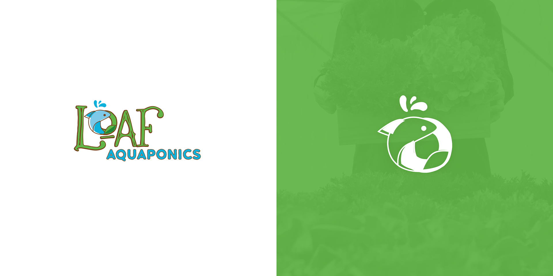 Loaf Aquaponics: Local Atlanta farm brand specializing in hydroponically-grown produce