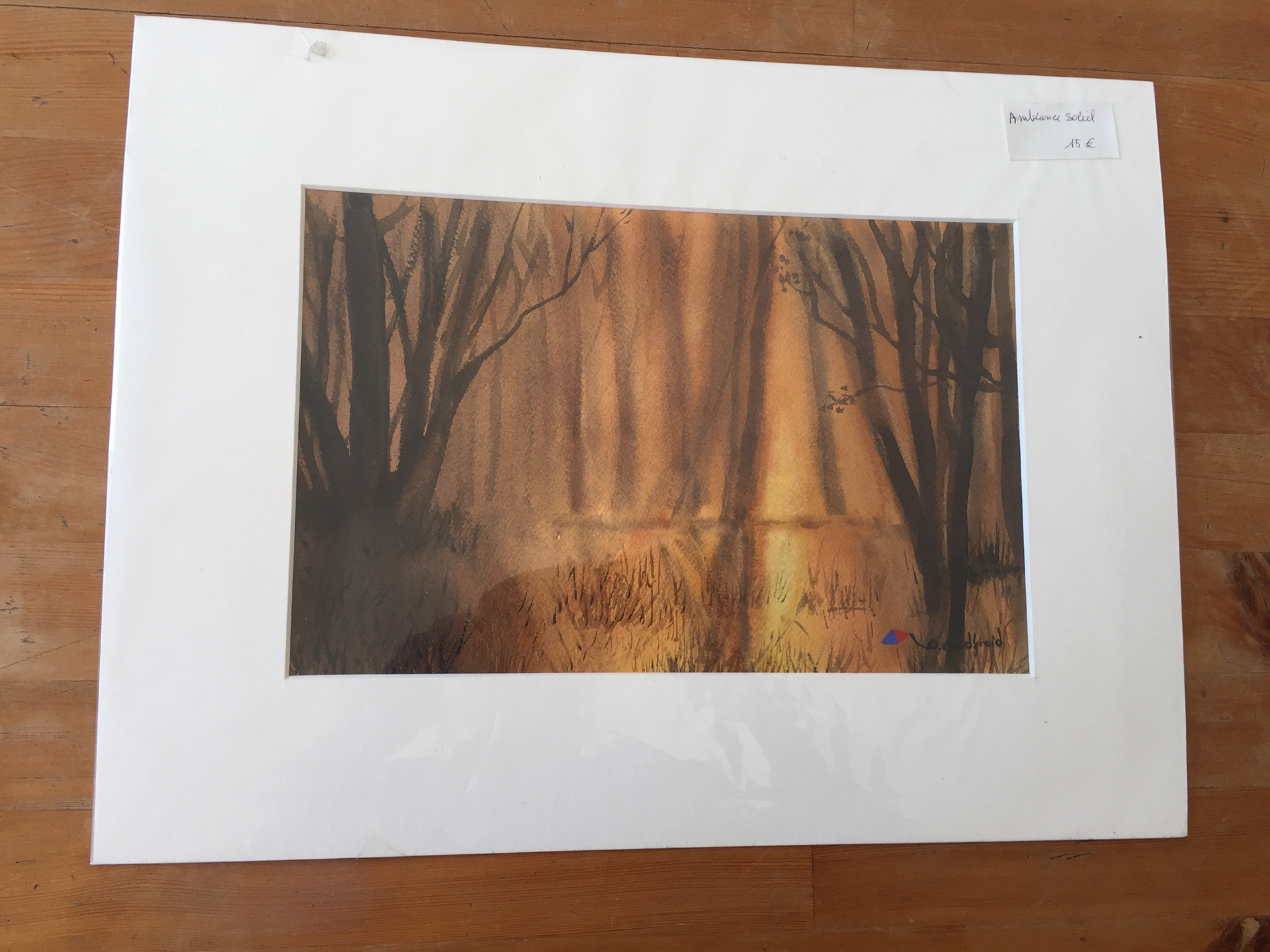 "Ambiance soleil". prix 15 €