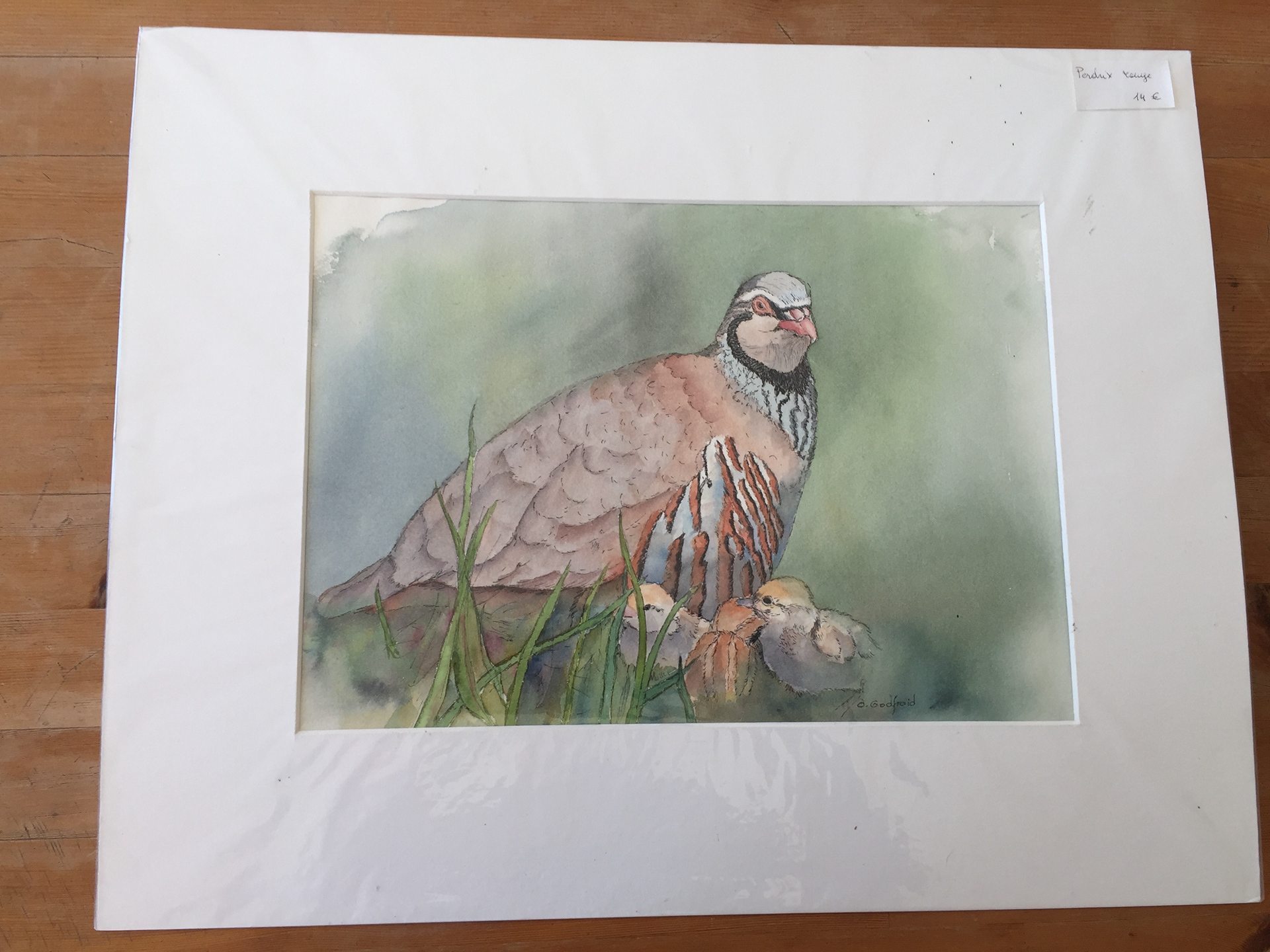 "Perdrix Rouge". prix 14 €