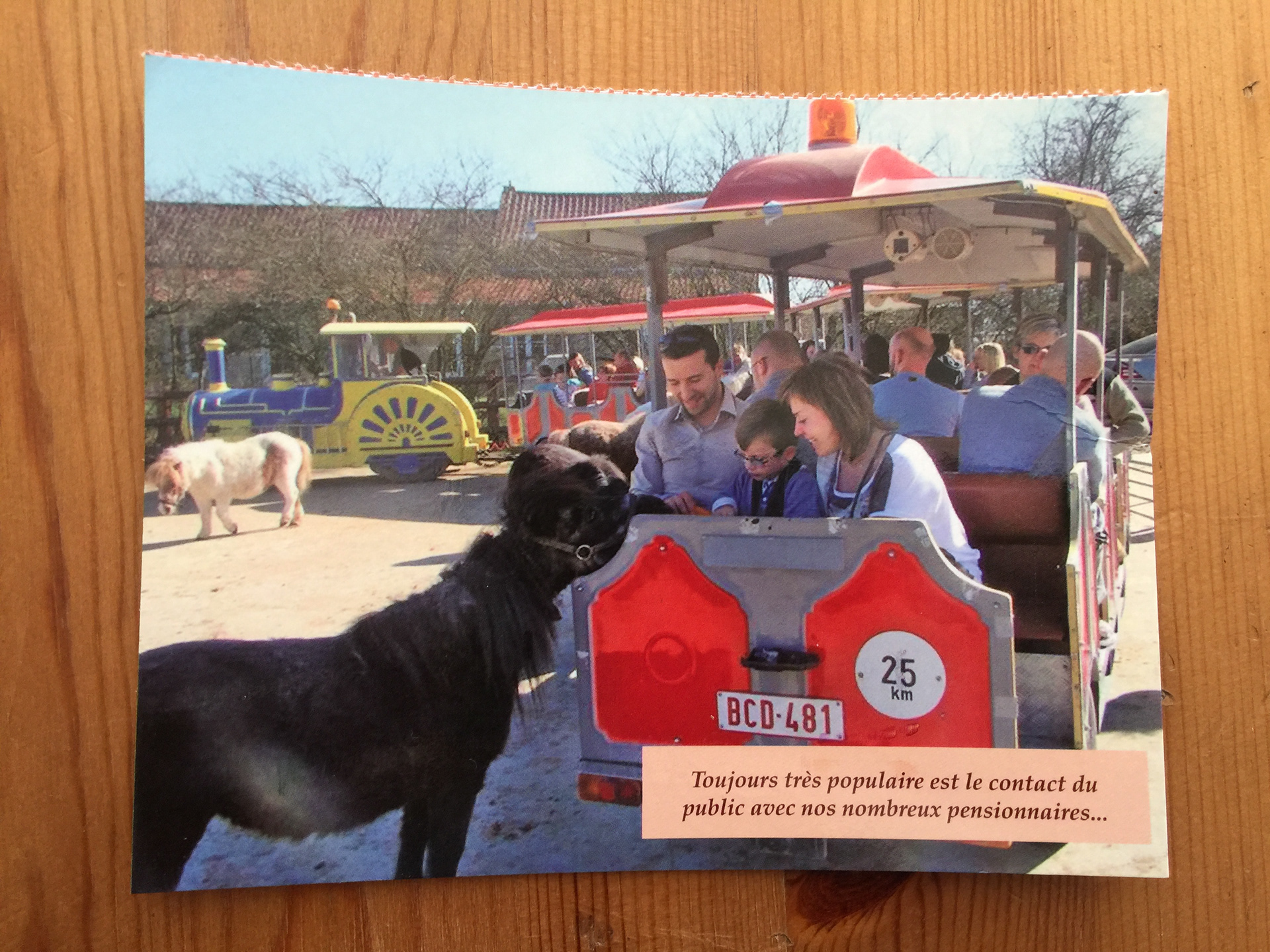 CARTE POSTALE 100 CHEVAUX 52 - Prix 0,50 €