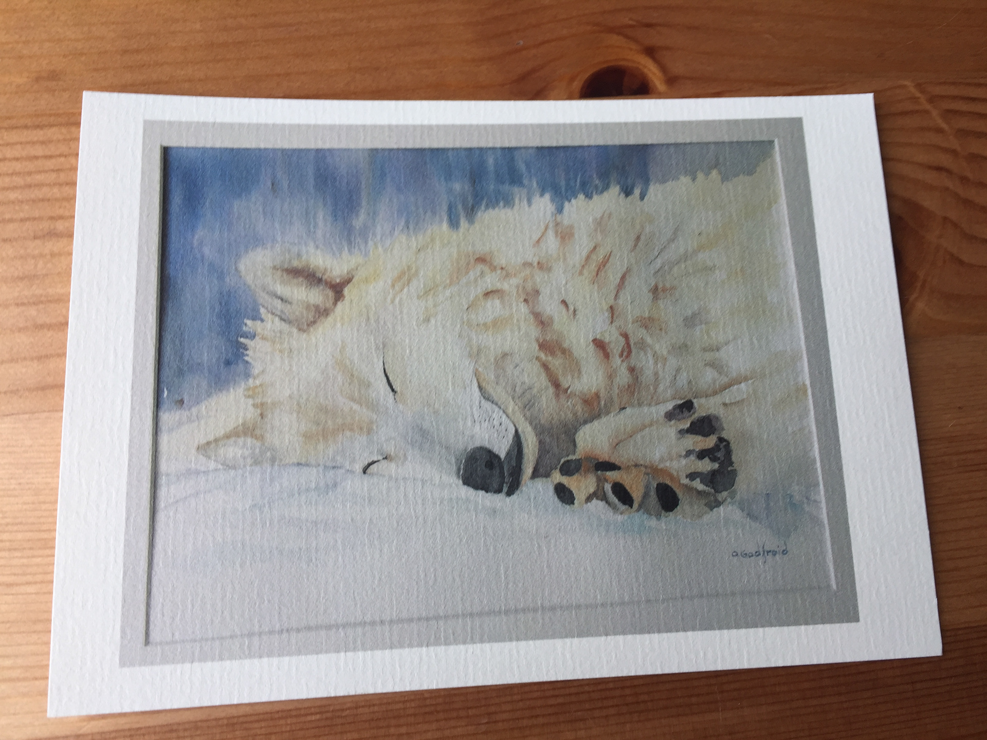 nr 3 Carte Godfroid 3 €
