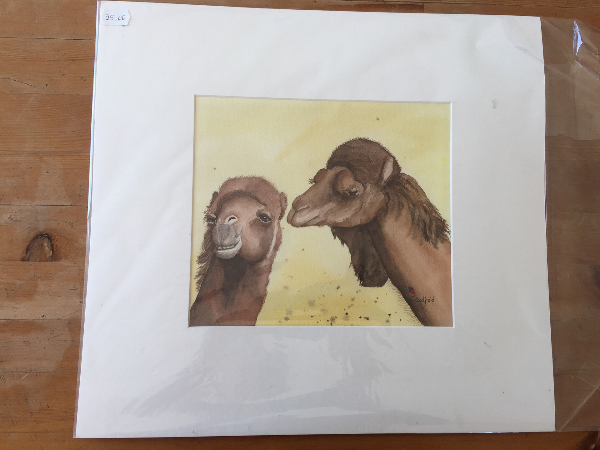 "Chameaux". prix 25 €