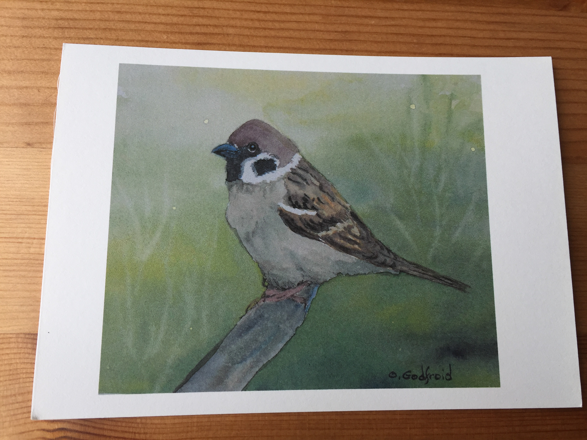 nr 13 Carte Godfroid 3 €